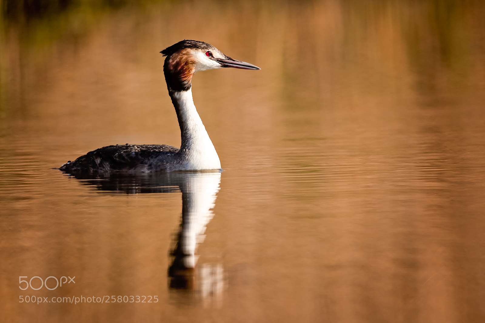 Canon EOS 7D Mark II sample photo. Portrait.jpg photography