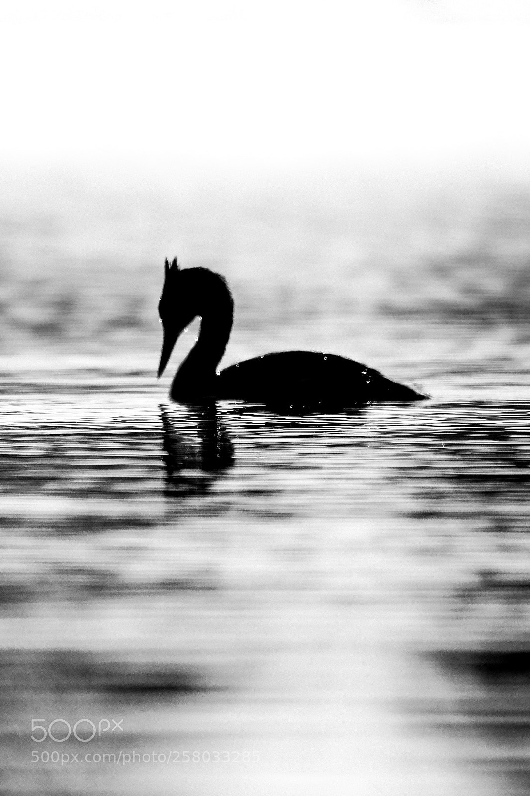 Canon EOS 7D Mark II sample photo. Felling down.jpg photography