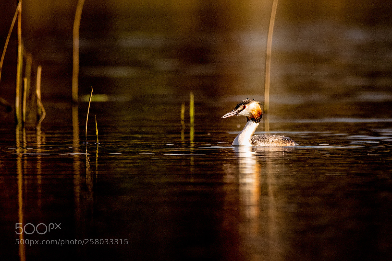 Canon EOS 7D Mark II sample photo. Ray of light.jpg photography