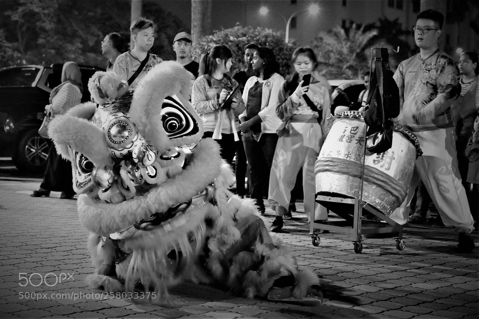 Nikon D3300 sample photo. The lion photography