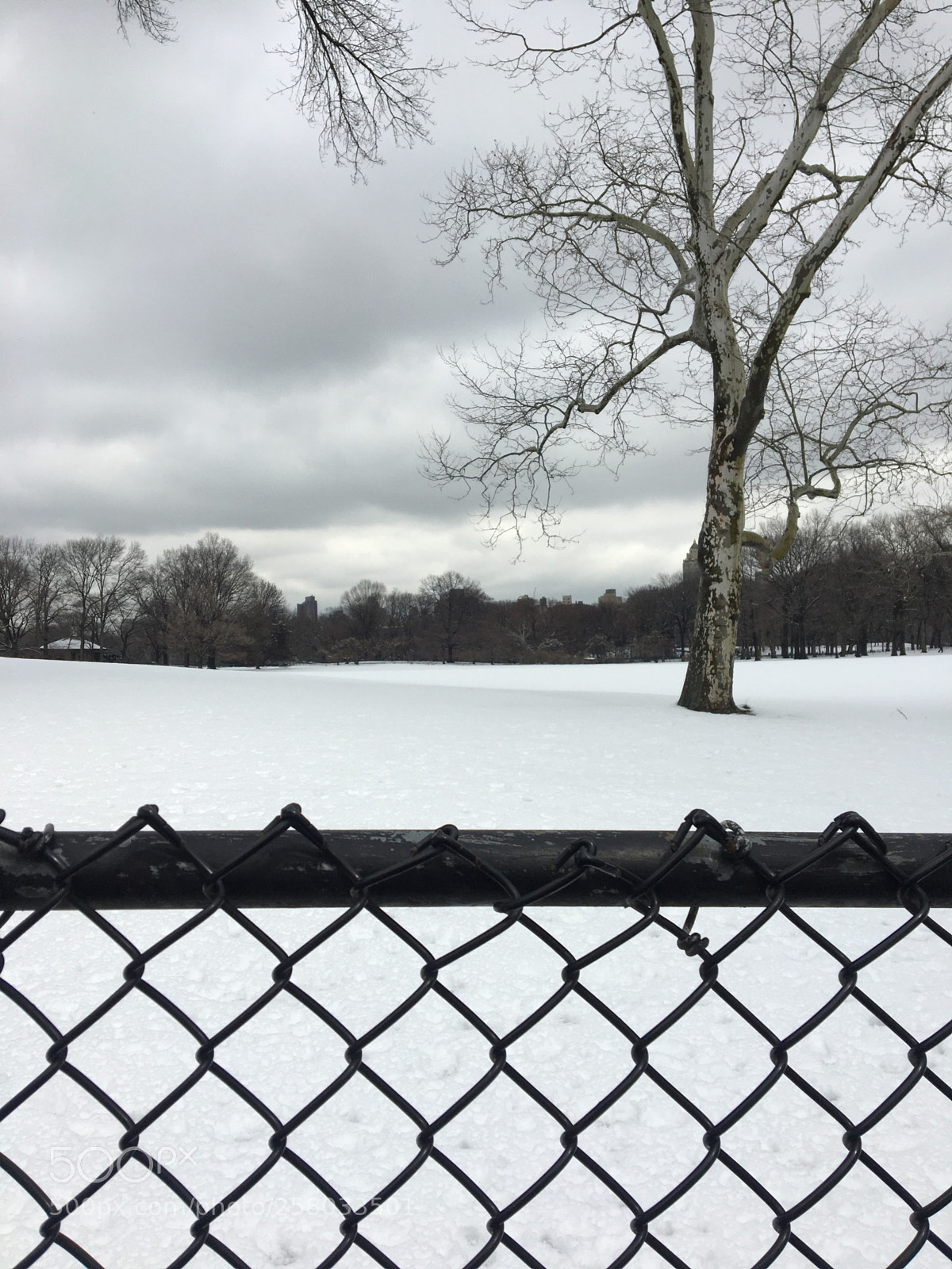 Apple iPhone 6s sample photo. Snow in central park  photography