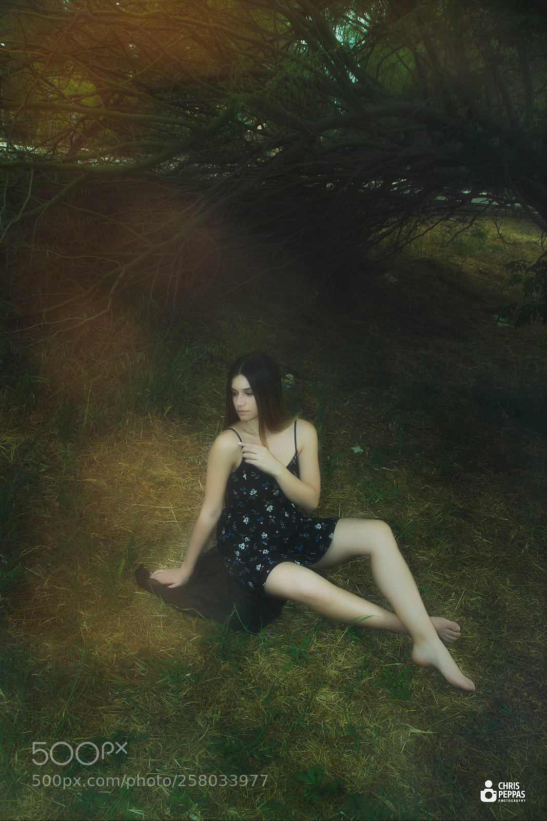 Canon EOS 6D sample photo. Fairytale photography