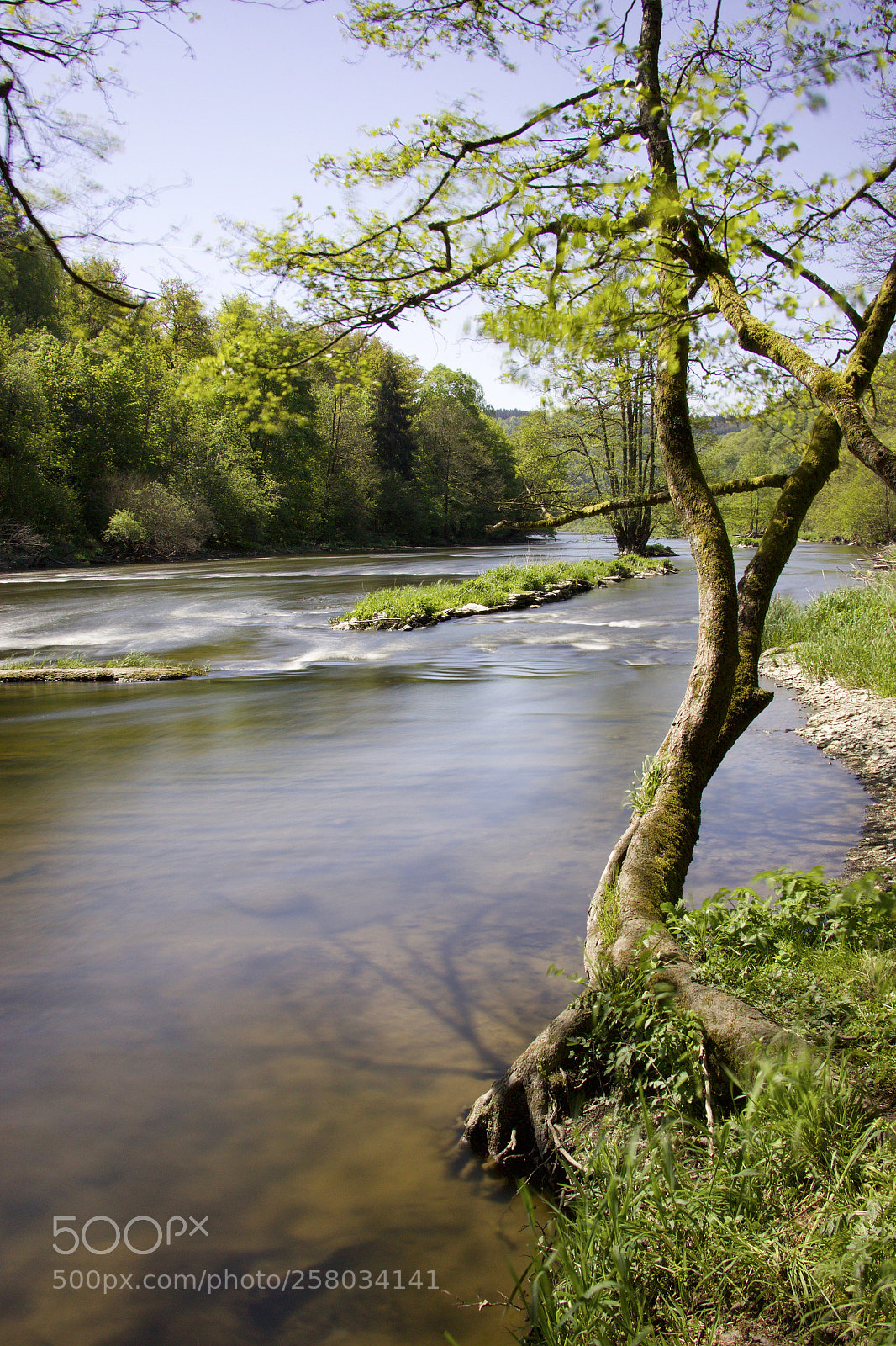 Canon EOS 70D sample photo. Tombeau0790 photography