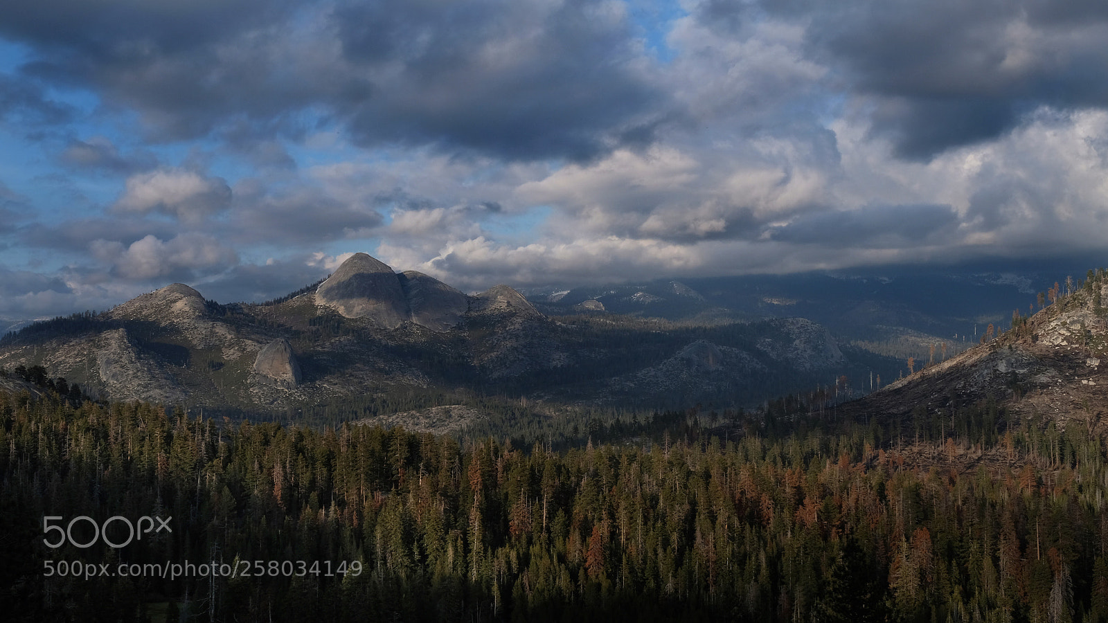 Fujifilm X-T2 sample photo. Yosemite photography