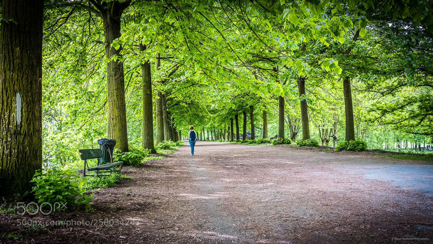 Fujifilm X-T20 sample photo. In the green photography