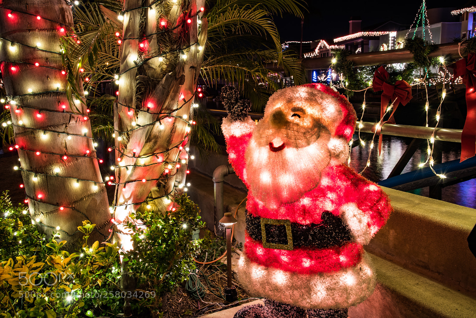 Nikon D750 sample photo. Christmas lights on naples photography