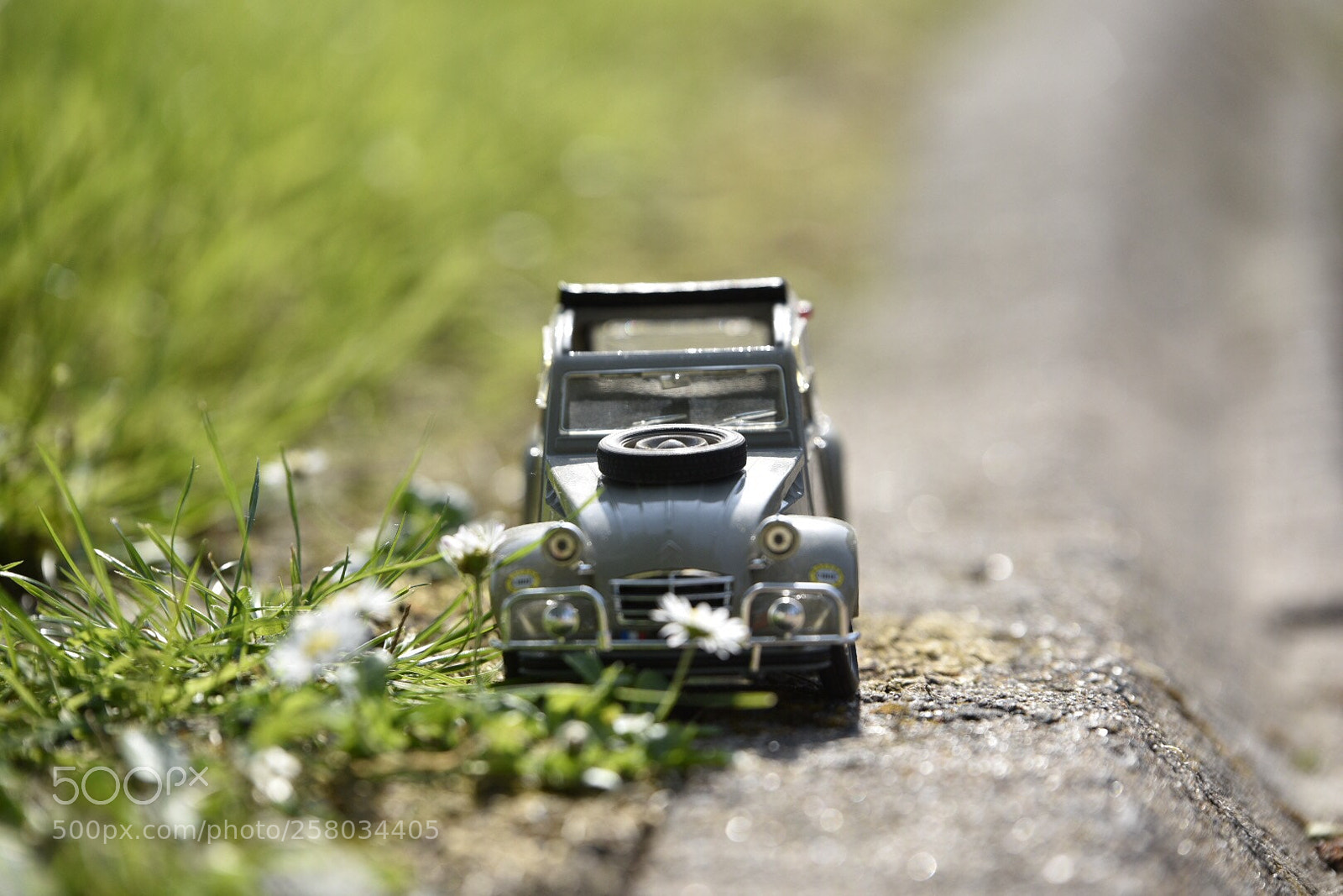 Nikon D750 sample photo. Untitled photography