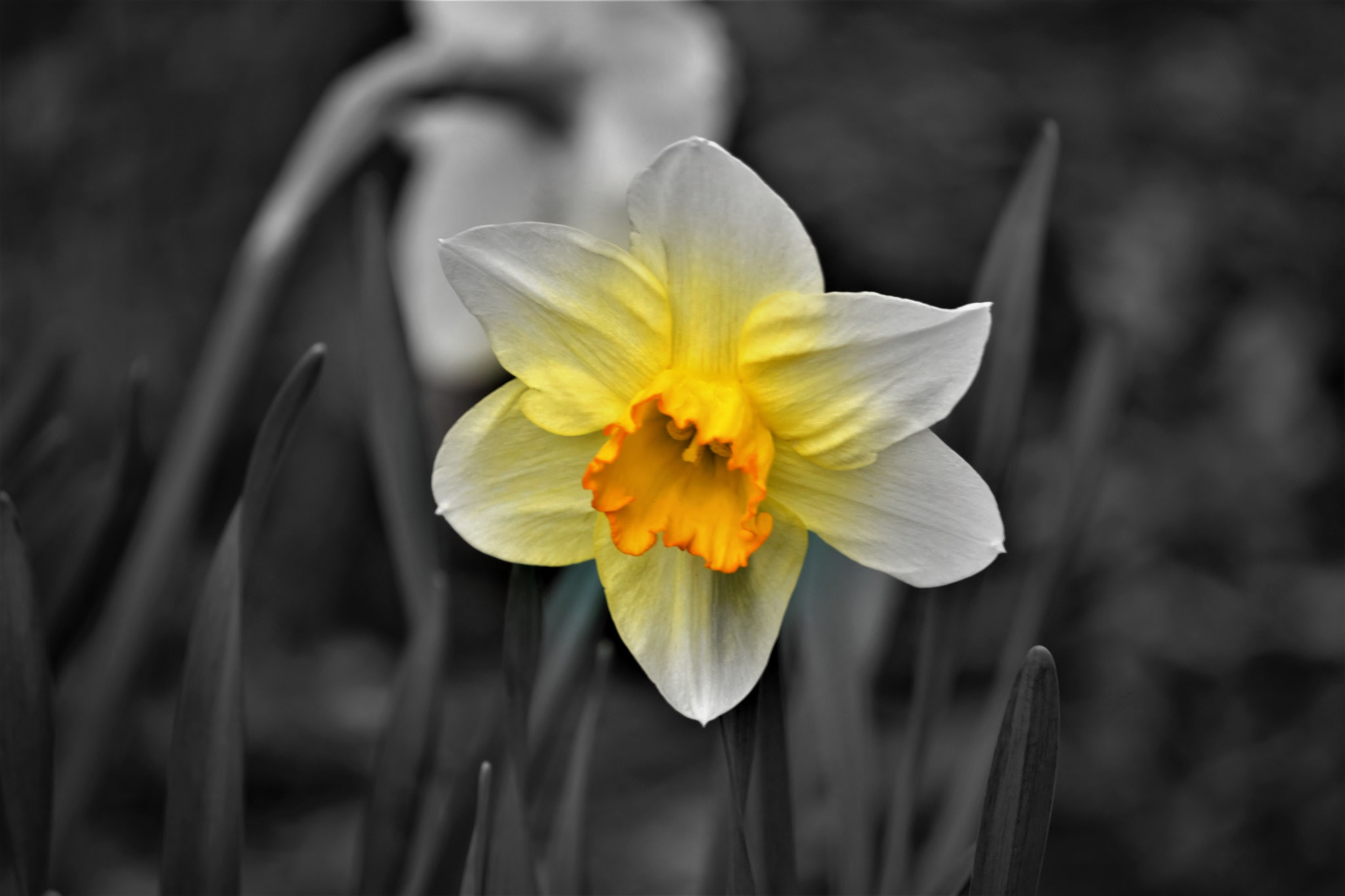 Nikon D5300 sample photo. "nature of the universe..." photography