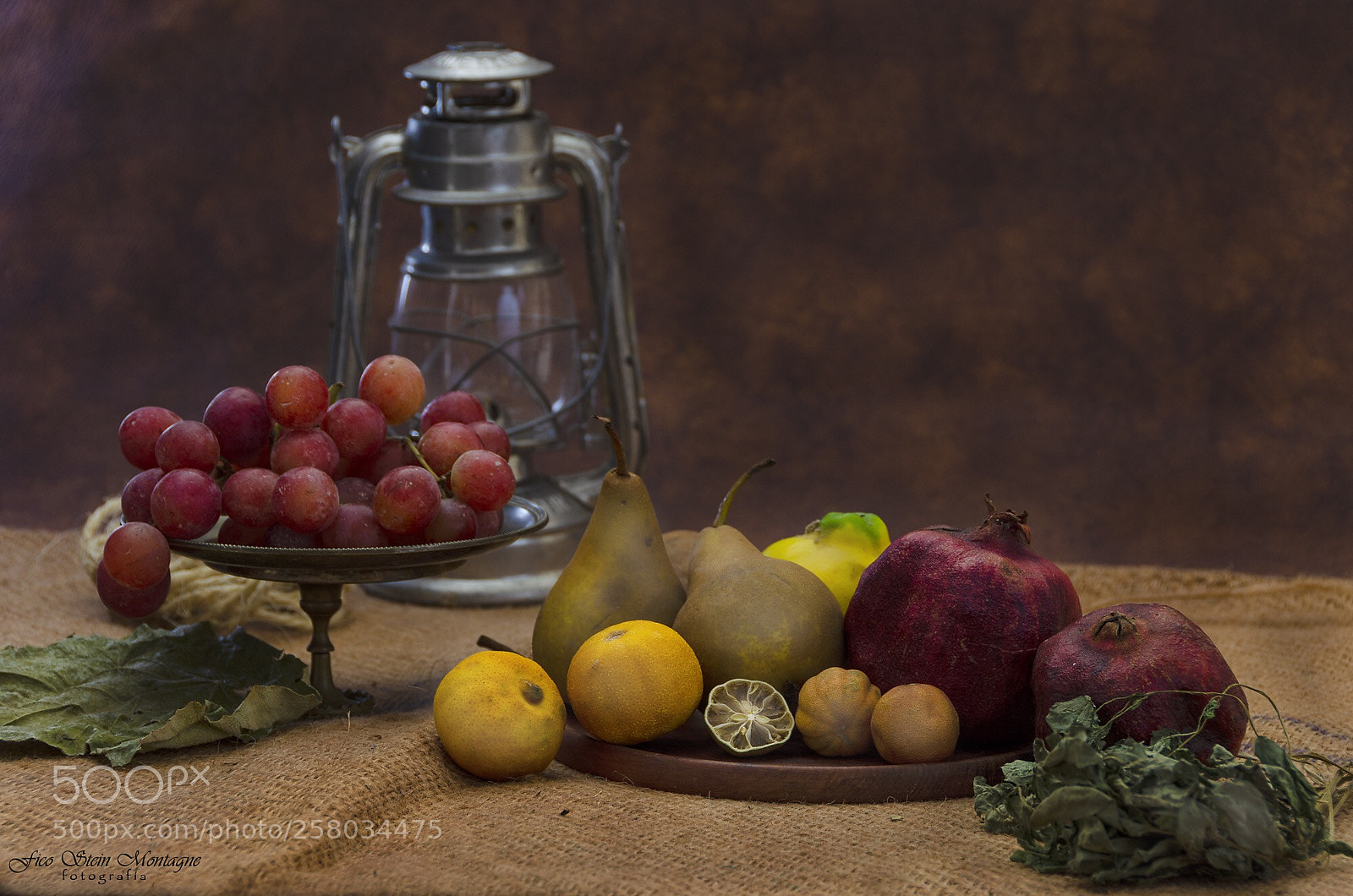 Nikon D7000 sample photo. Untitled photography
