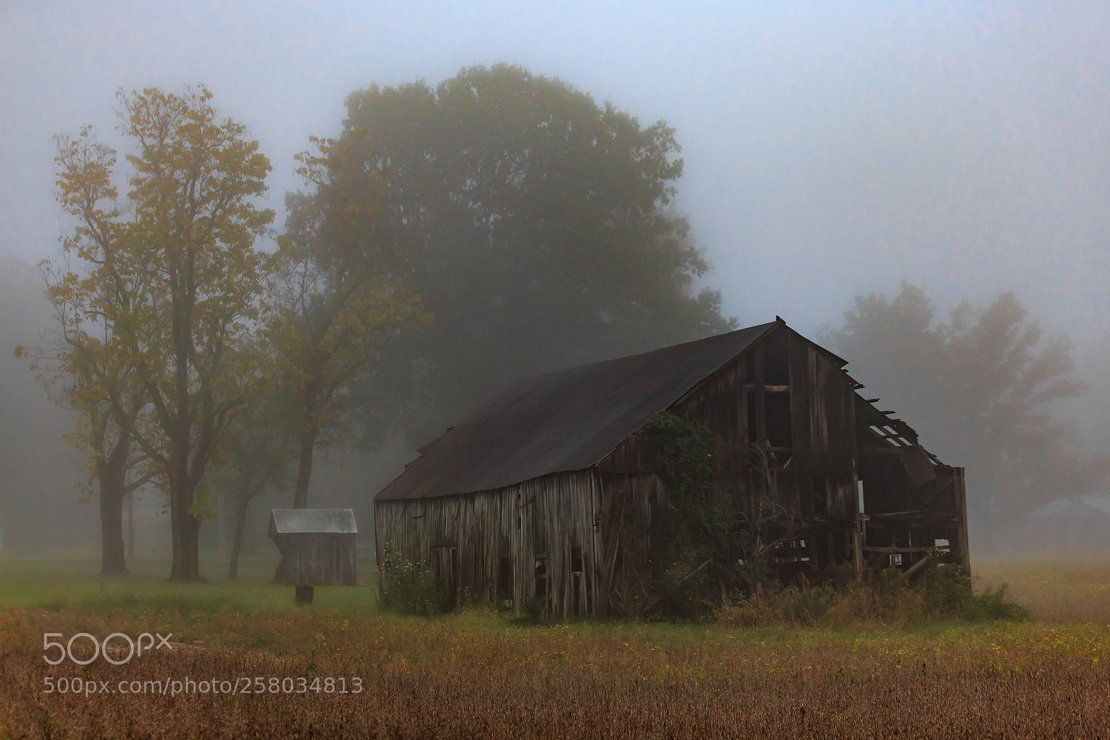 Canon EOS 6D sample photo. Rural decay photography