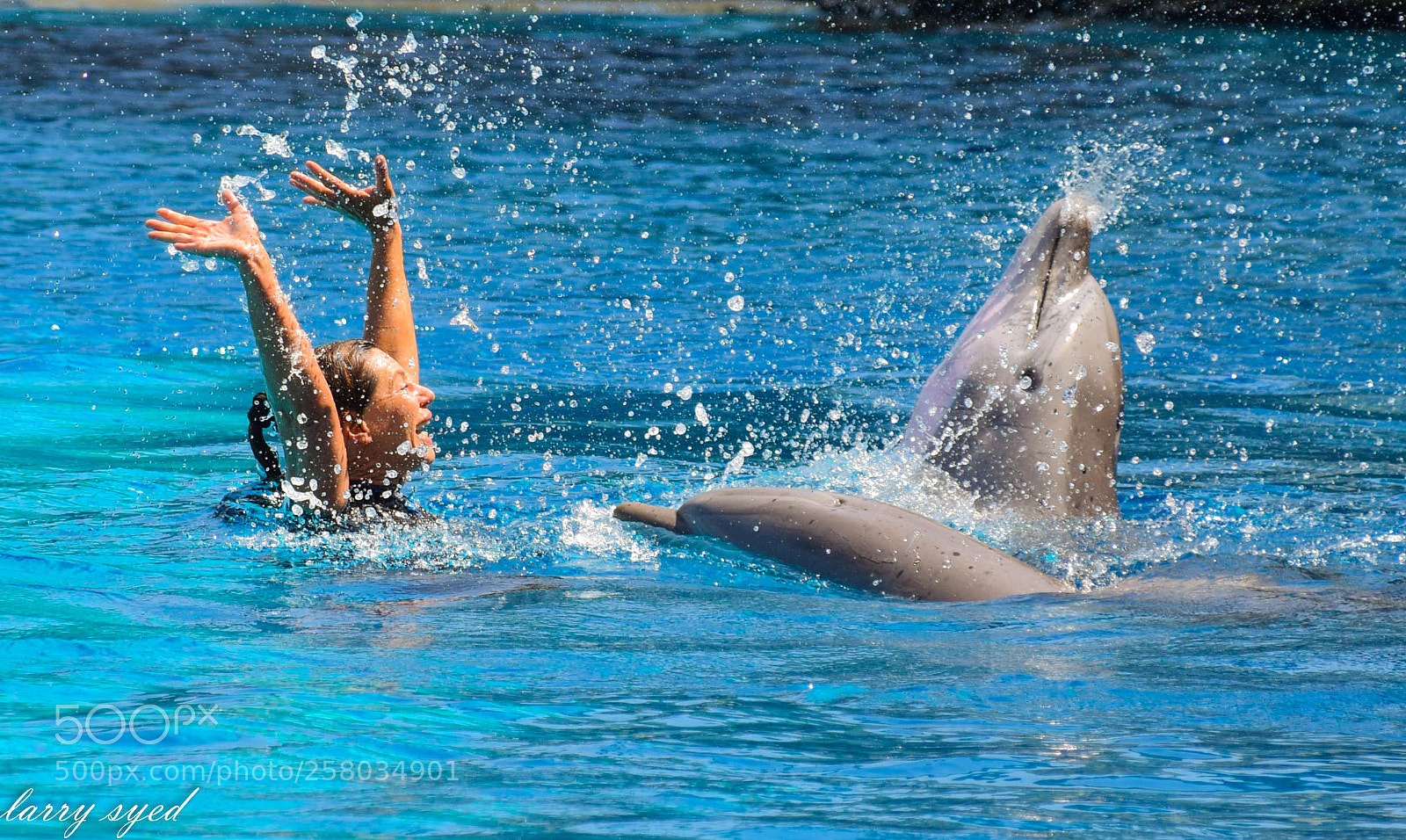 Nikon D3300 sample photo. Animal photography