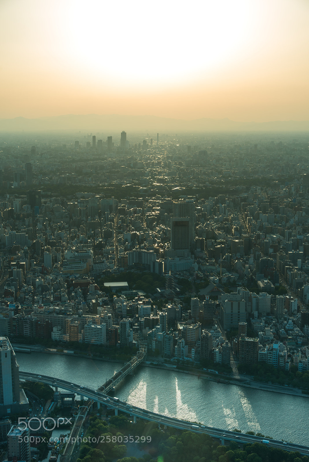 Nikon D750 sample photo. From above photography