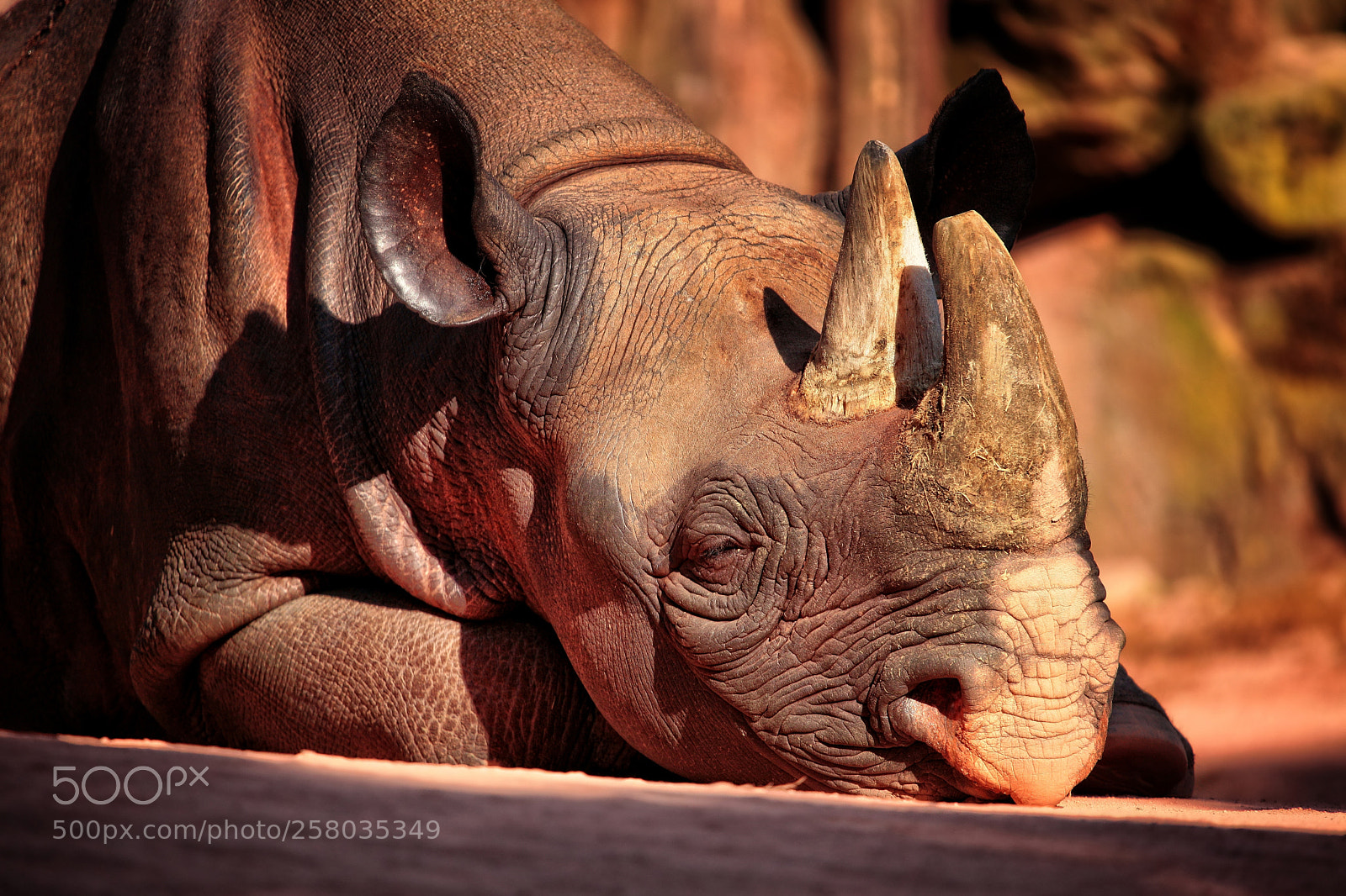 Canon EOS 5D Mark II sample photo. Sleeping giant photography