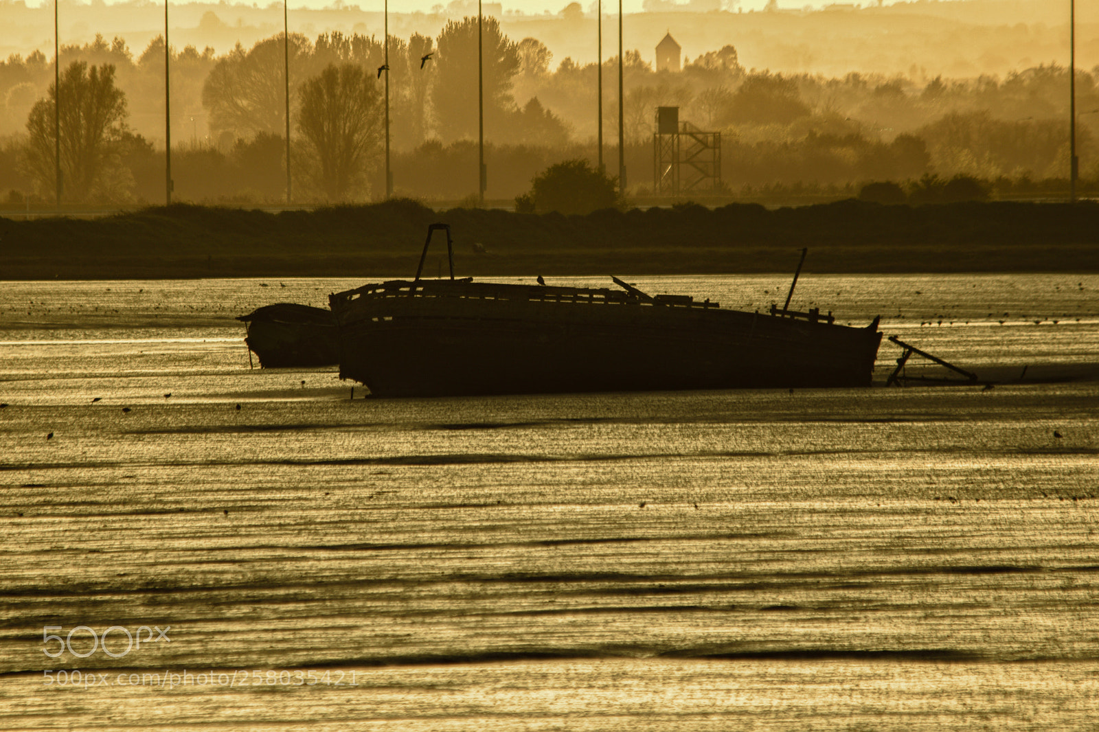 Nikon D5300 sample photo. Wreck photography
