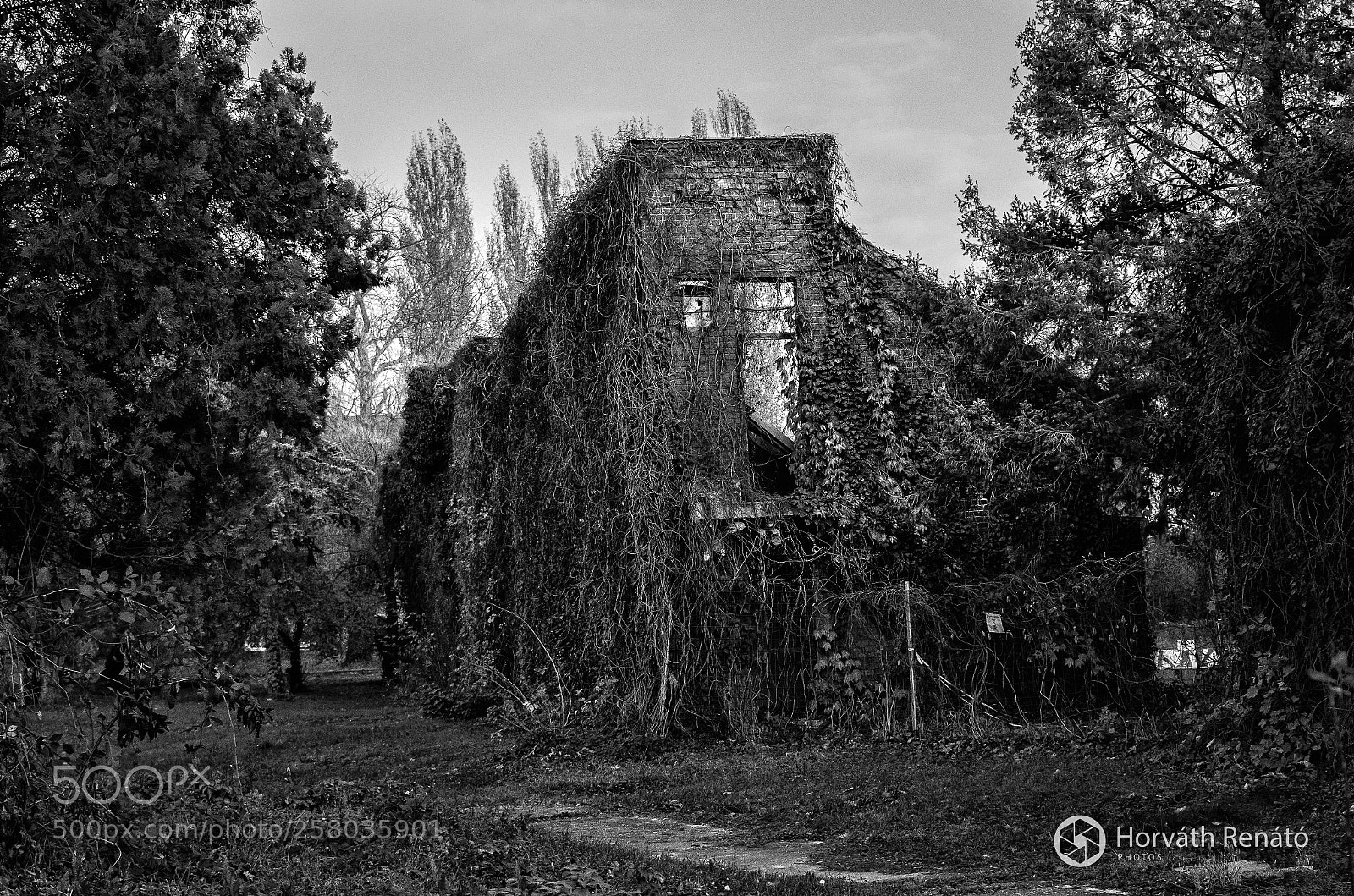 Nikon D3300 sample photo. Urban exploration - p photography