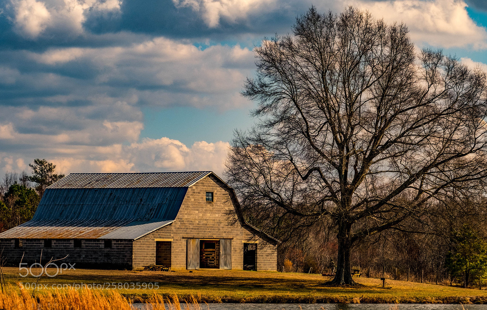 Fujifilm X-T2 sample photo. Afternoon at the barn photography