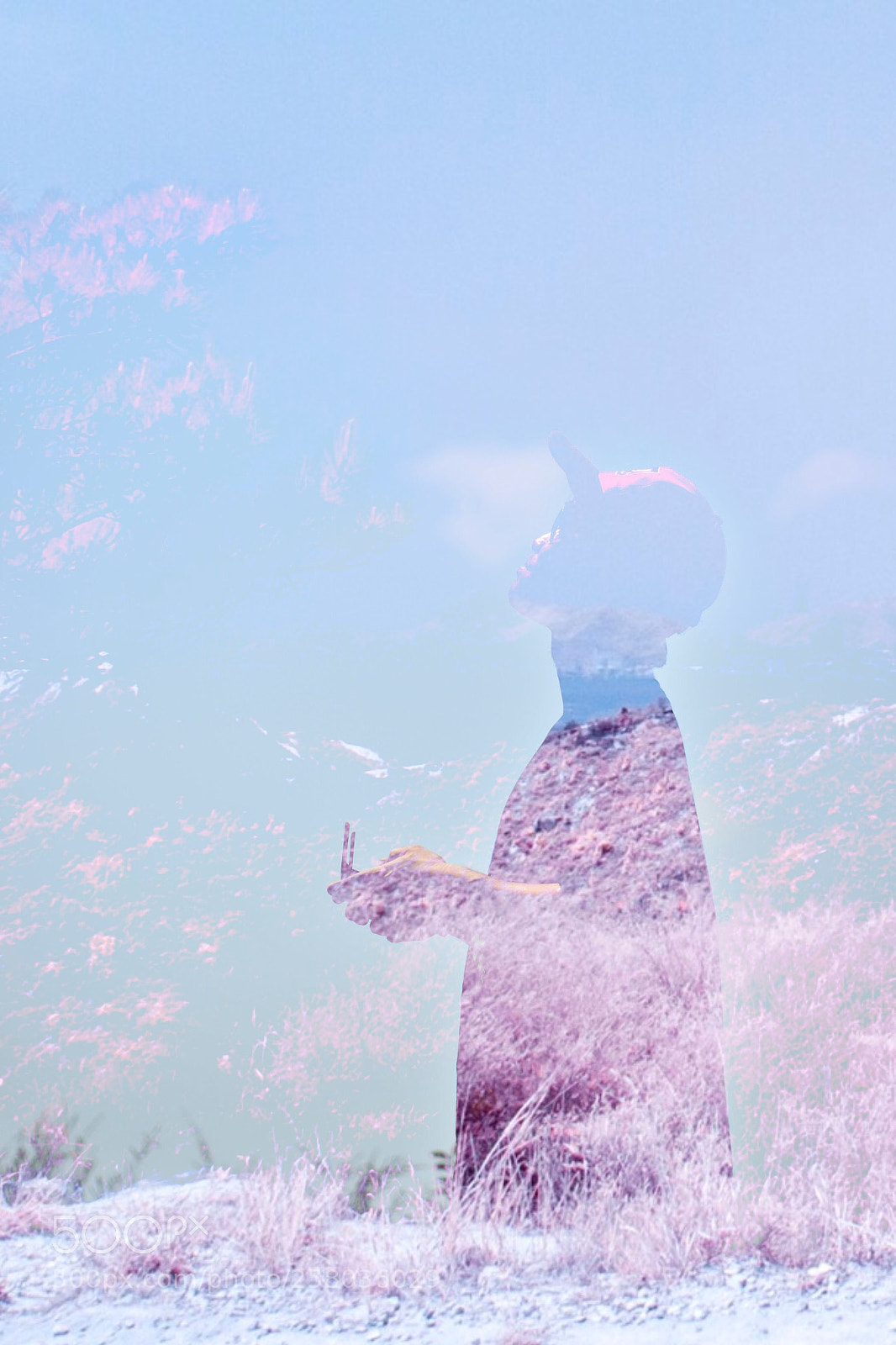 Nikon D800E sample photo. Double exposure  photography