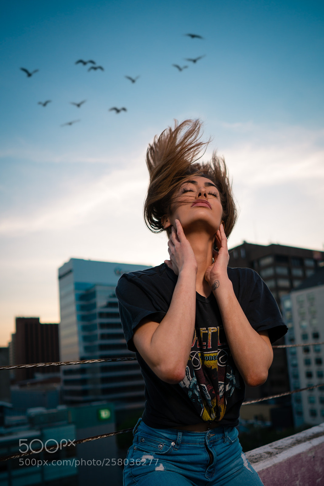 Sony a7R II sample photo. Rooftop bliss photography