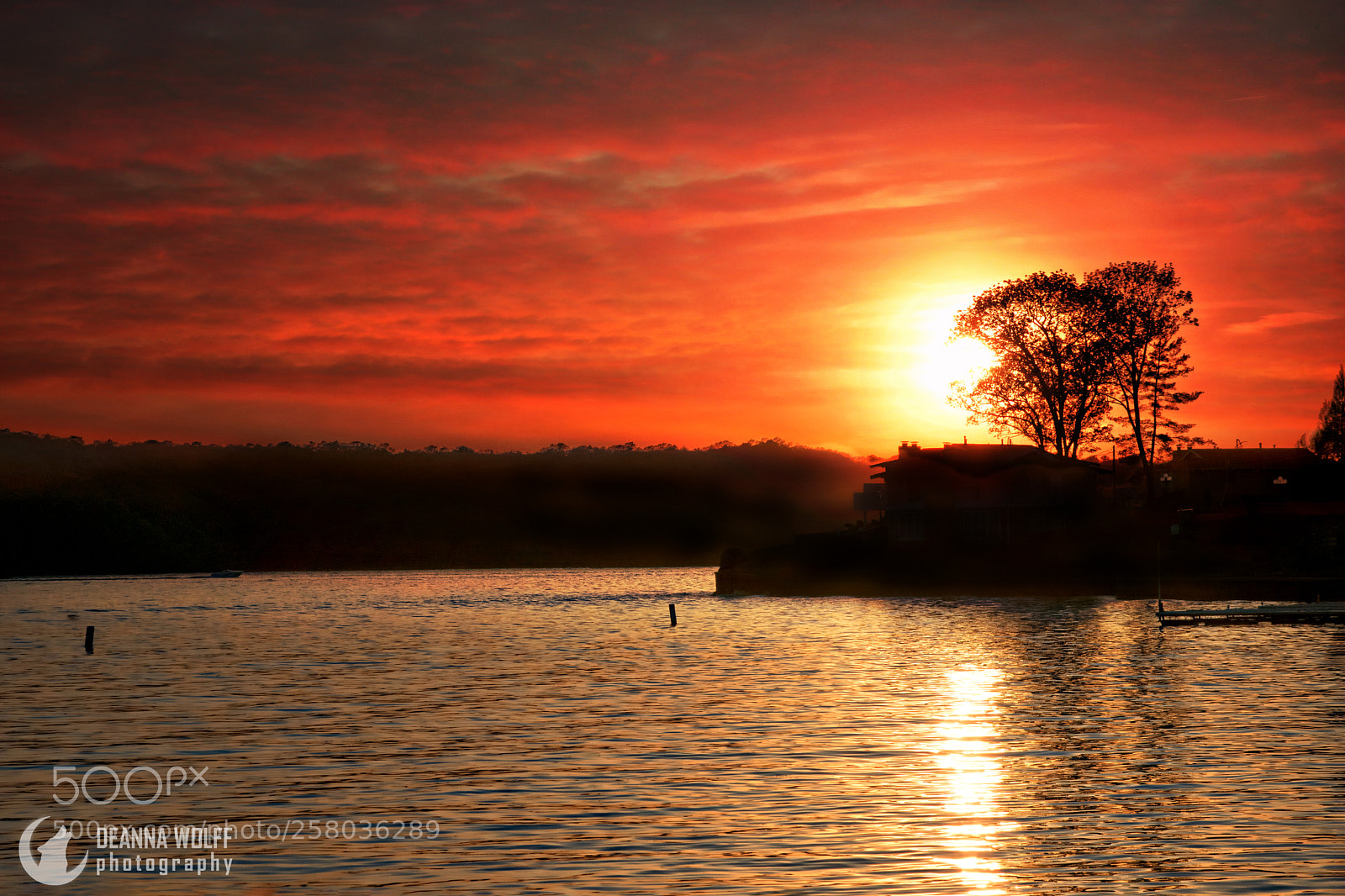 Nikon D5300 sample photo. Sunset in spring photography