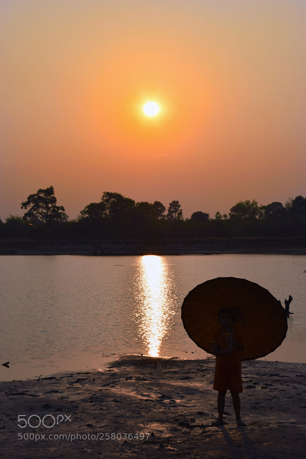 Nikon D5300 sample photo. Untitled photography