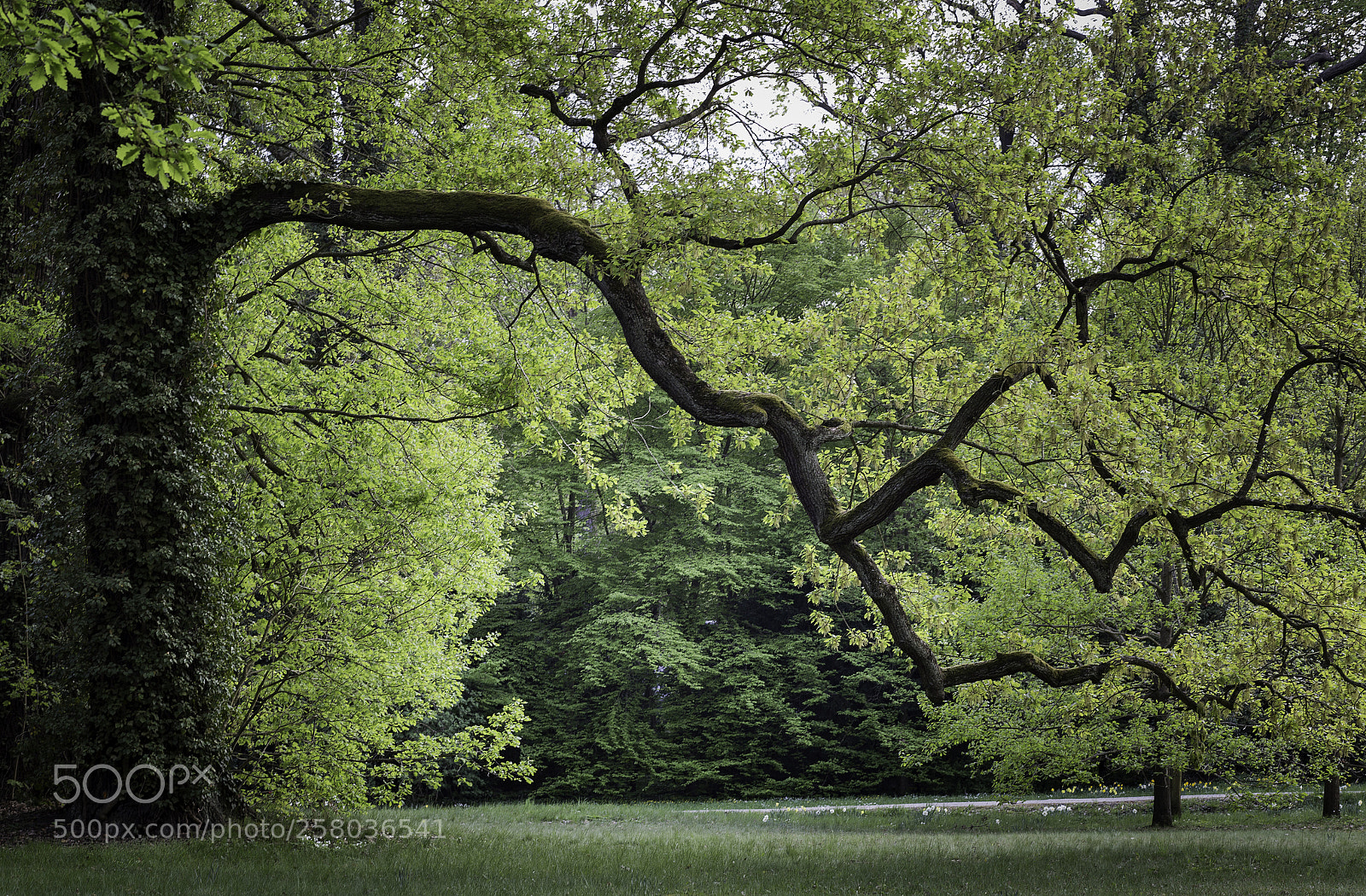 Canon EOS 6D sample photo. Just a mood photography