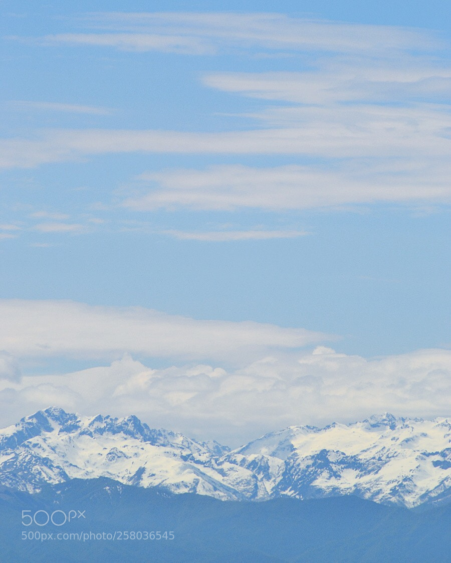 Nikon D3100 sample photo. Untitled photography