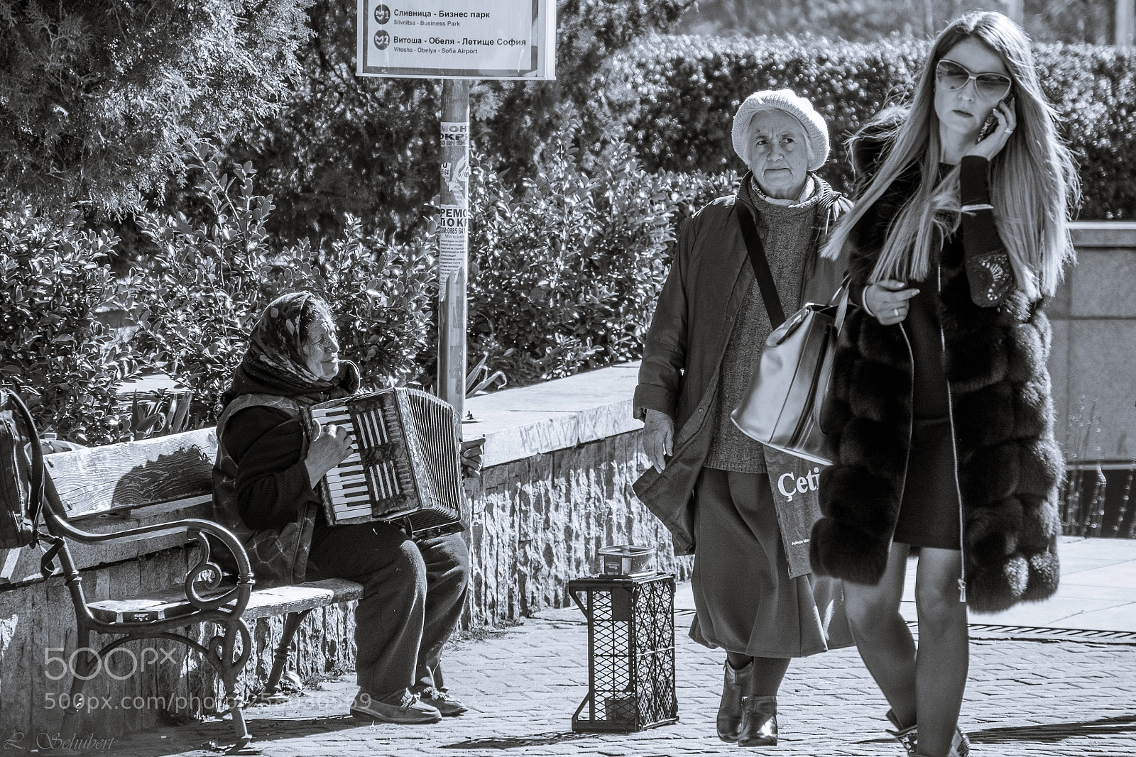Fujifilm X-T1 sample photo. Separation photography