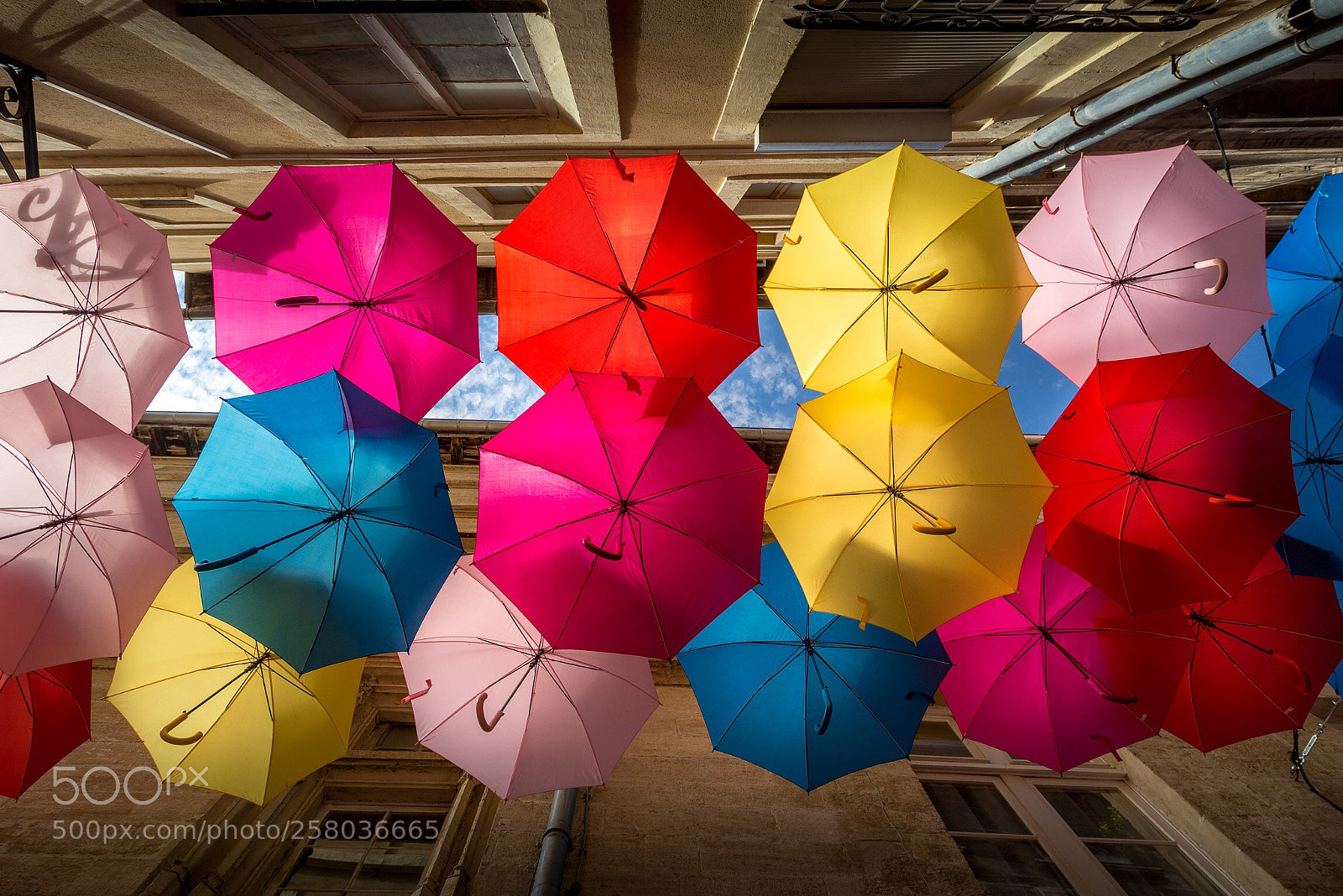 Canon EOS 6D sample photo. The colorful umbrellas of photography
