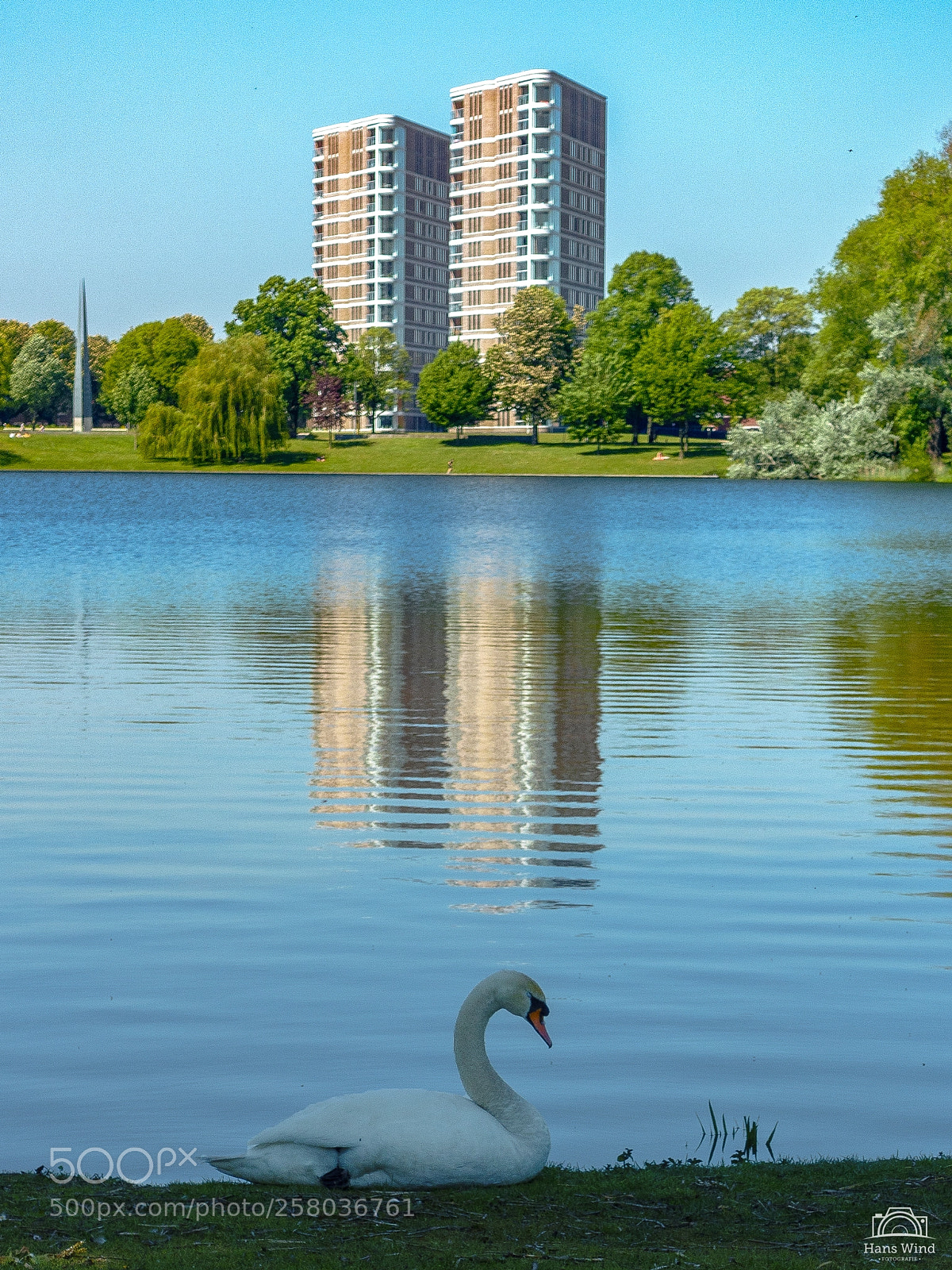 Sony Cyber-shot DSC-RX100 III sample photo. The swan and the photography