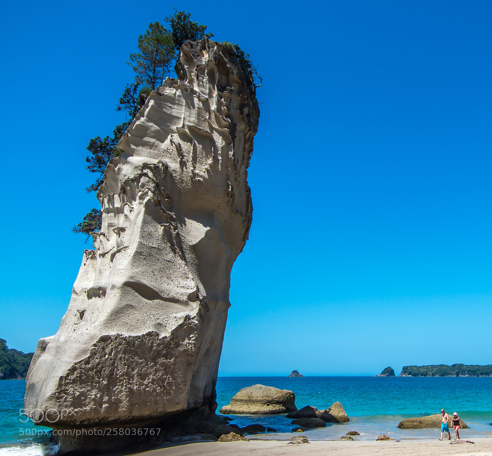 Pentax K-30 sample photo. Coromandel photography
