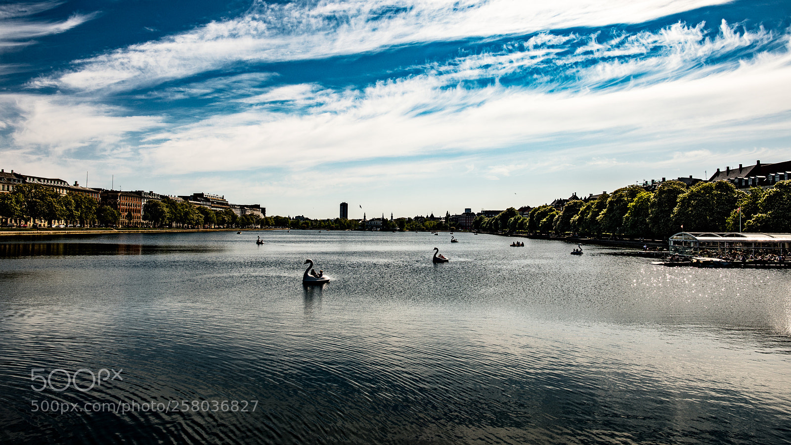 Canon EOS 5D Mark IV sample photo. Peblinge sø #2 photography
