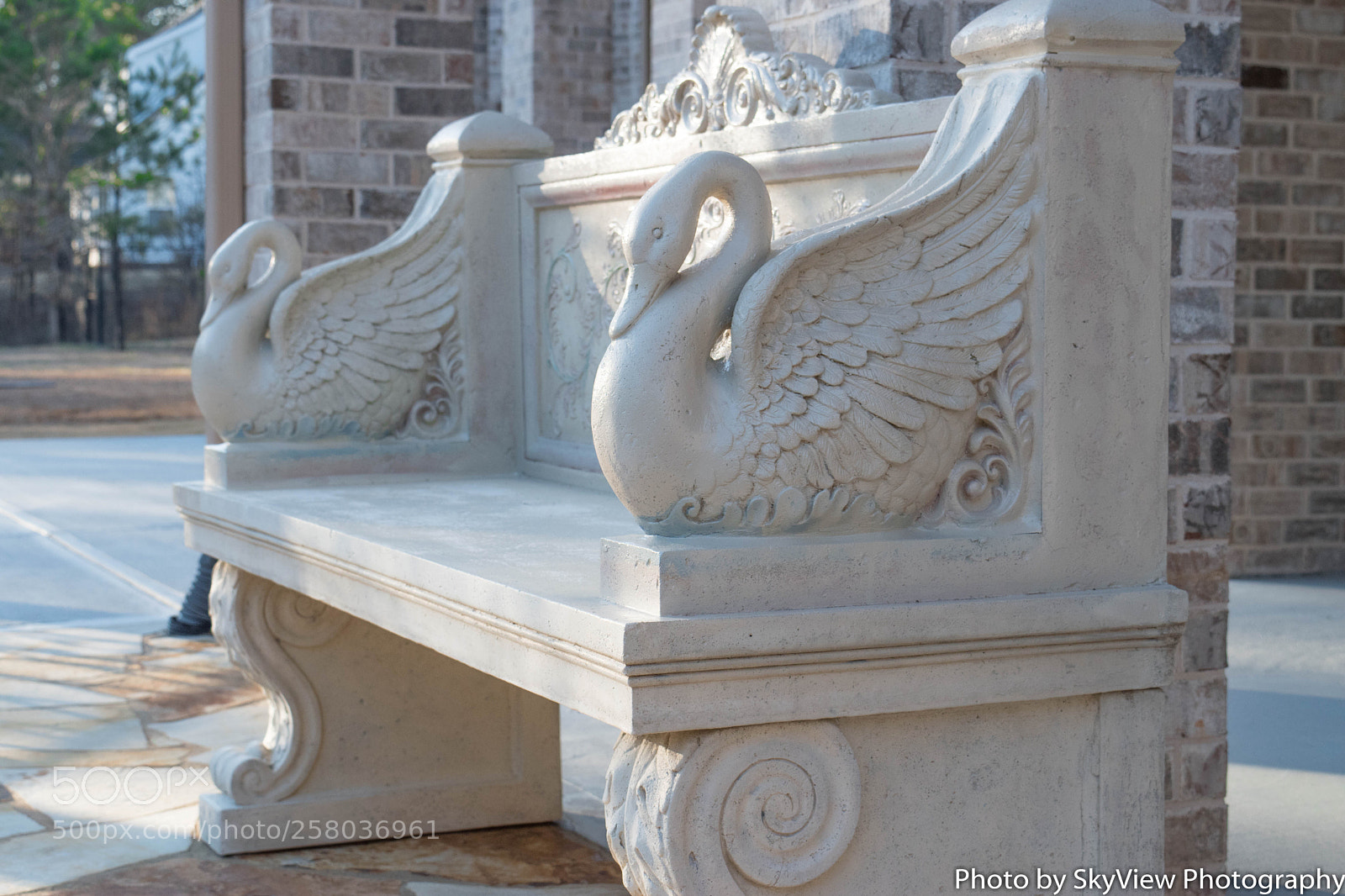 Nikon D5500 sample photo. Svp photography