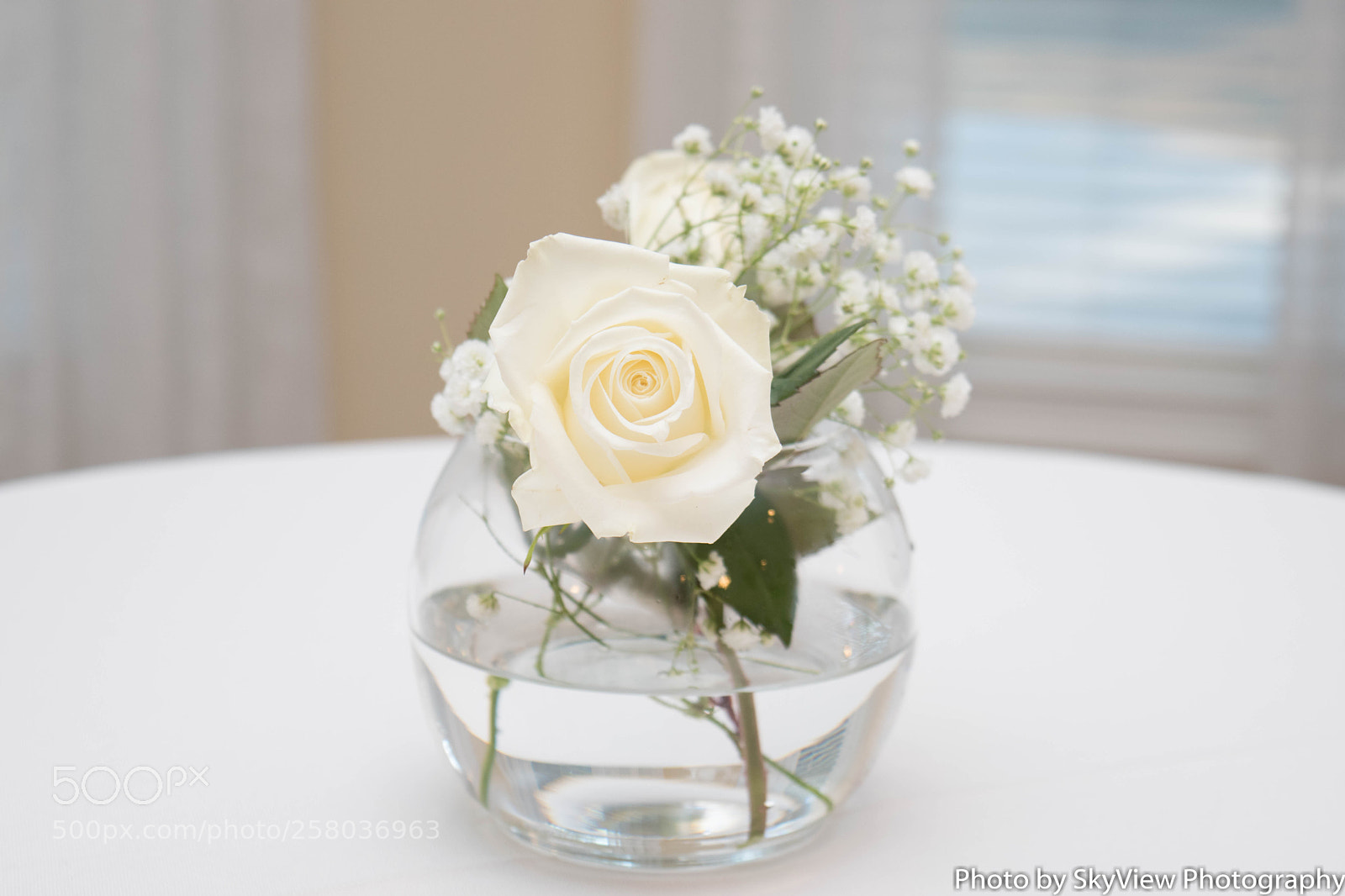 Nikon D5500 sample photo. Svp photography