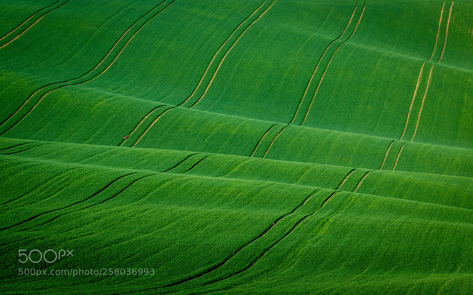 Canon EOS 6D Mark II sample photo. Infinite moravian waves photography