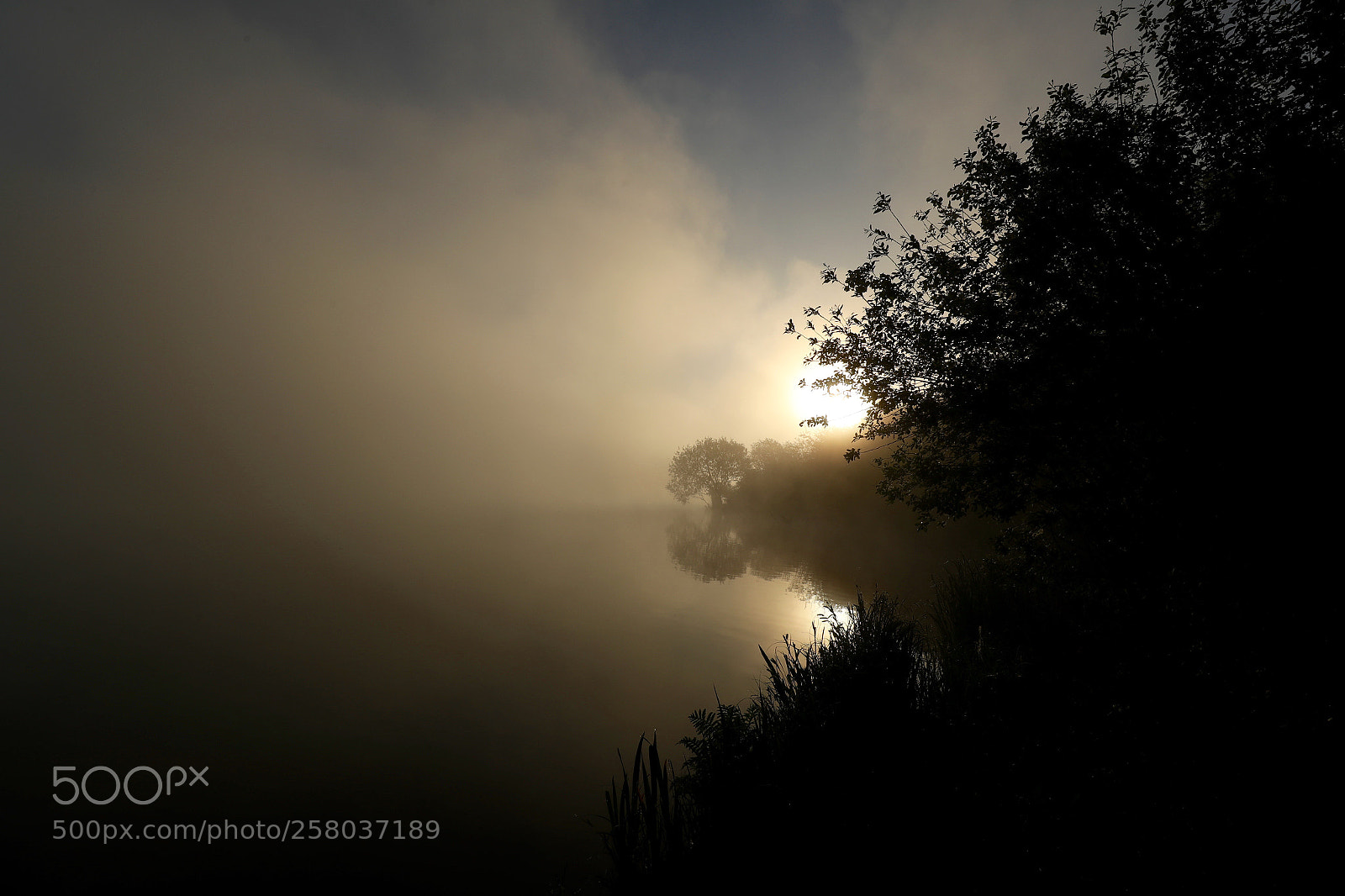 Canon EOS-1D X Mark II sample photo. Foggy morning 4 photography