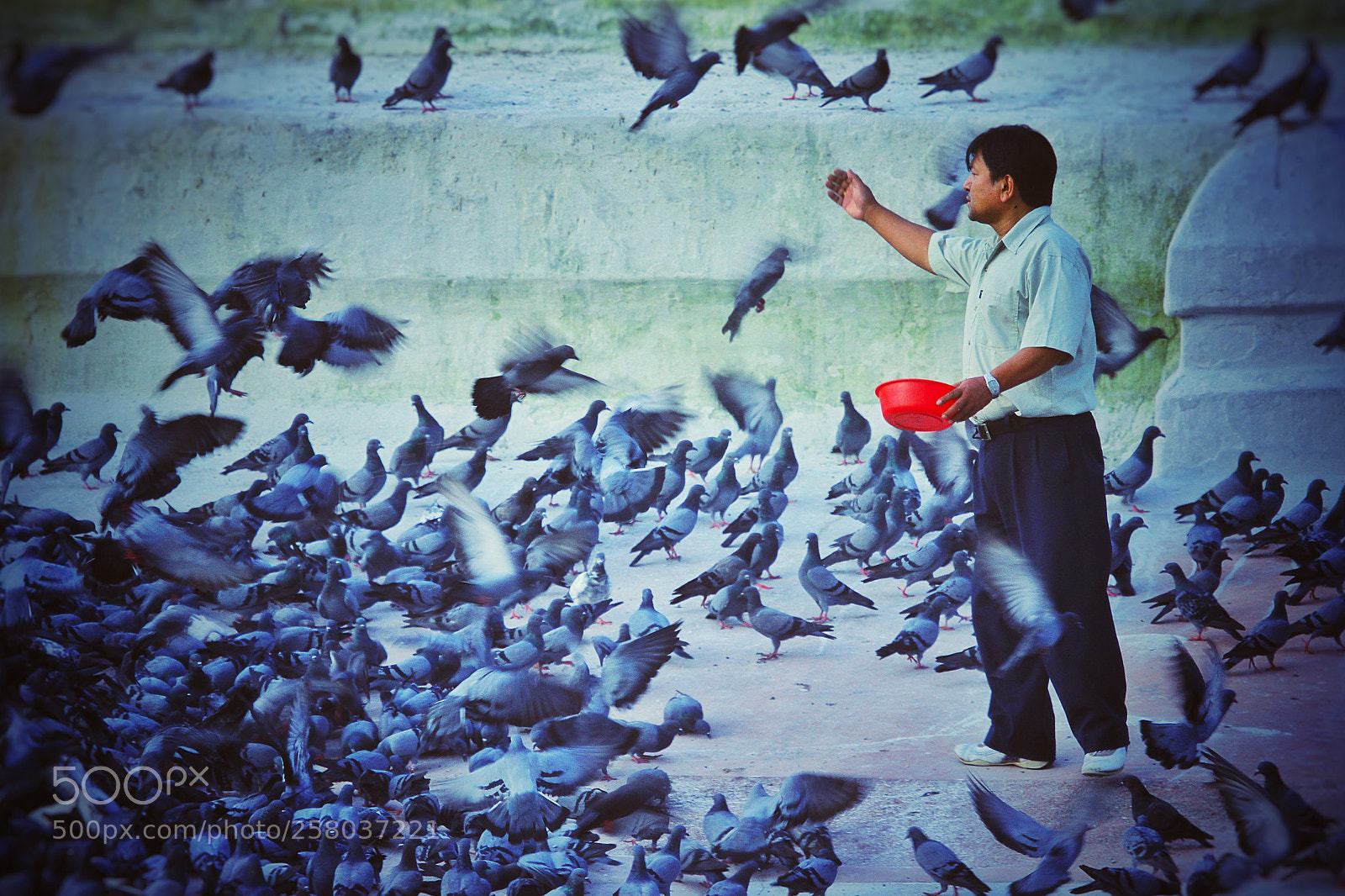 Canon EOS 7D sample photo. Morning ritual photography