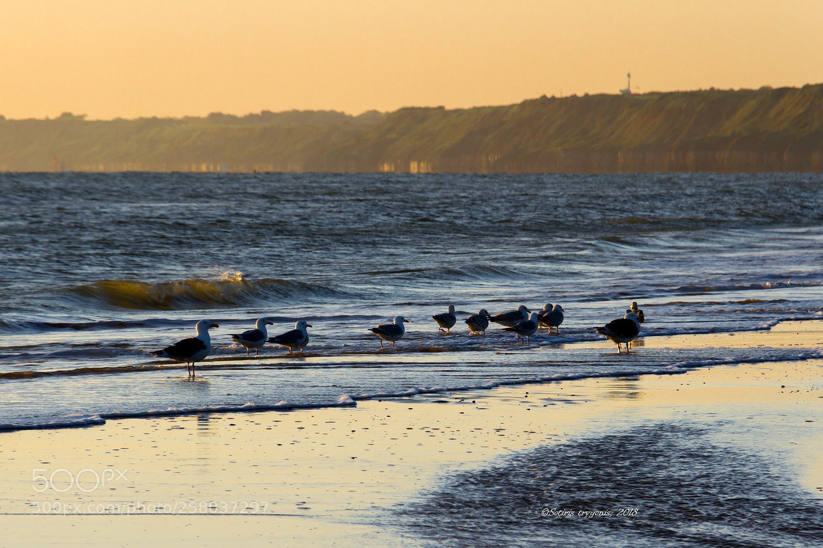 Canon EOS 7D sample photo. Breakfast on the beach photography