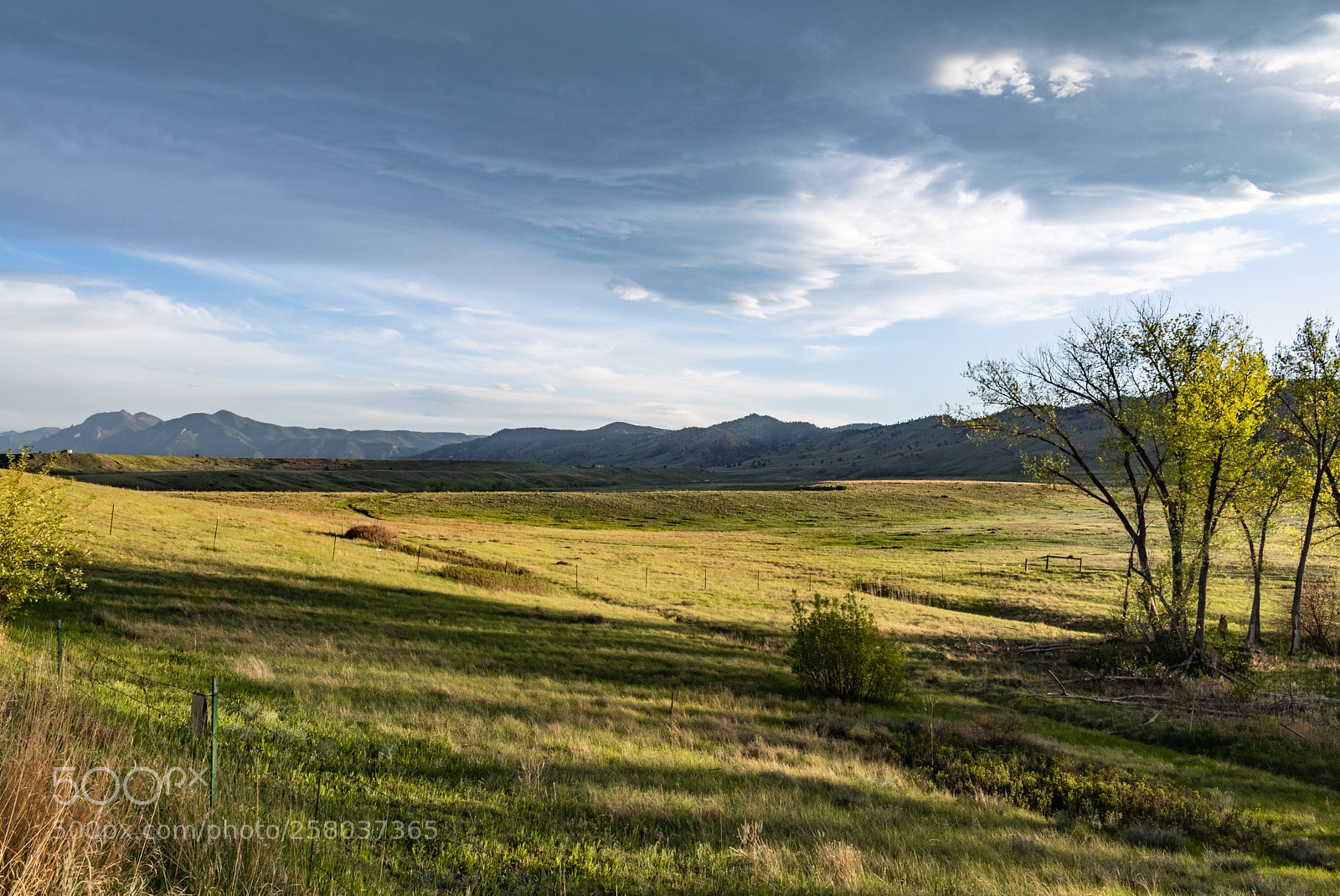 Canon EOS 80D sample photo. Late afternoon in spring photography