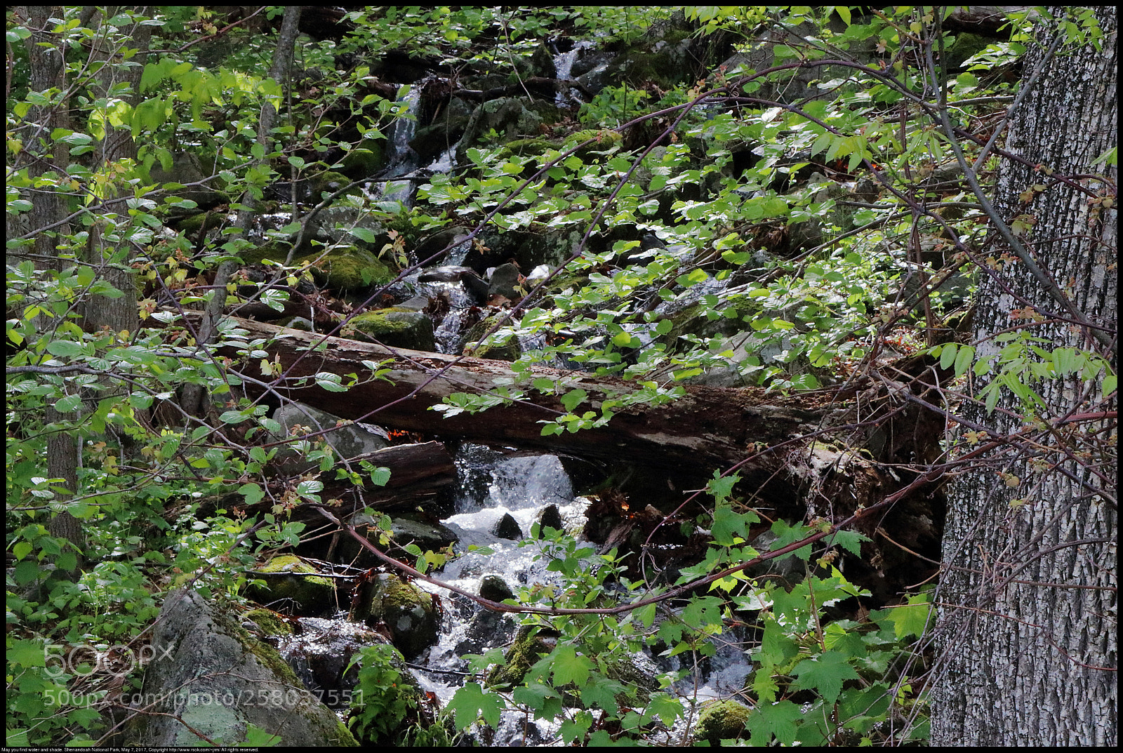 Canon EOS 80D sample photo. May you find water photography