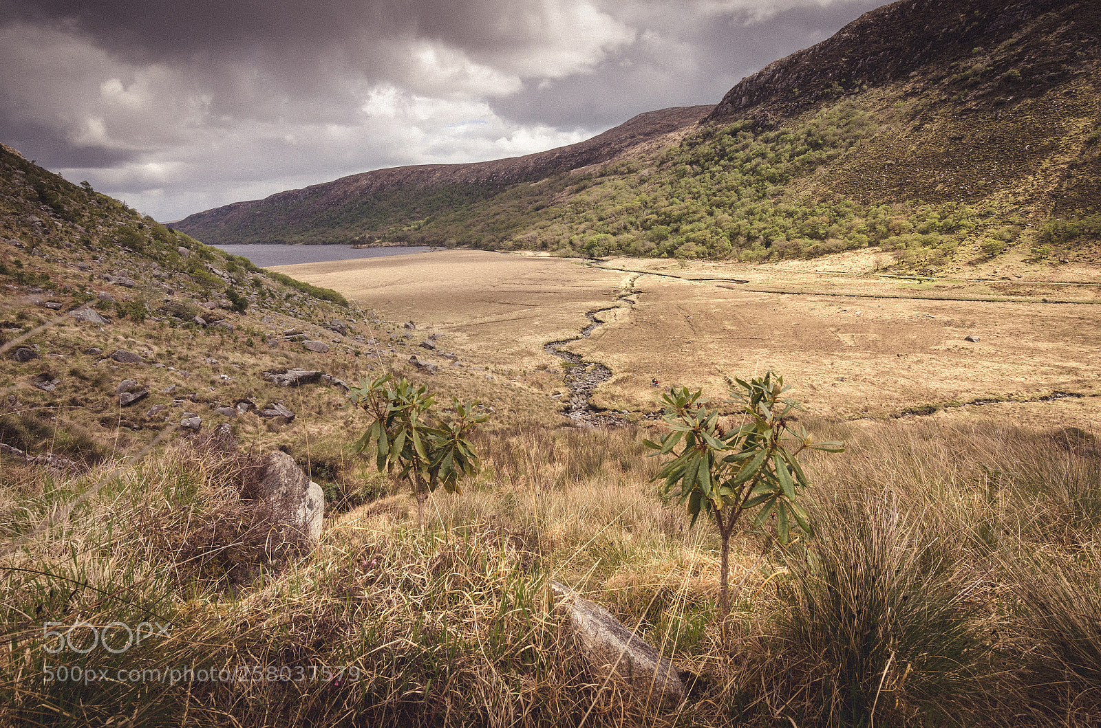 Nikon D7000 sample photo. Glenveagh national park photography