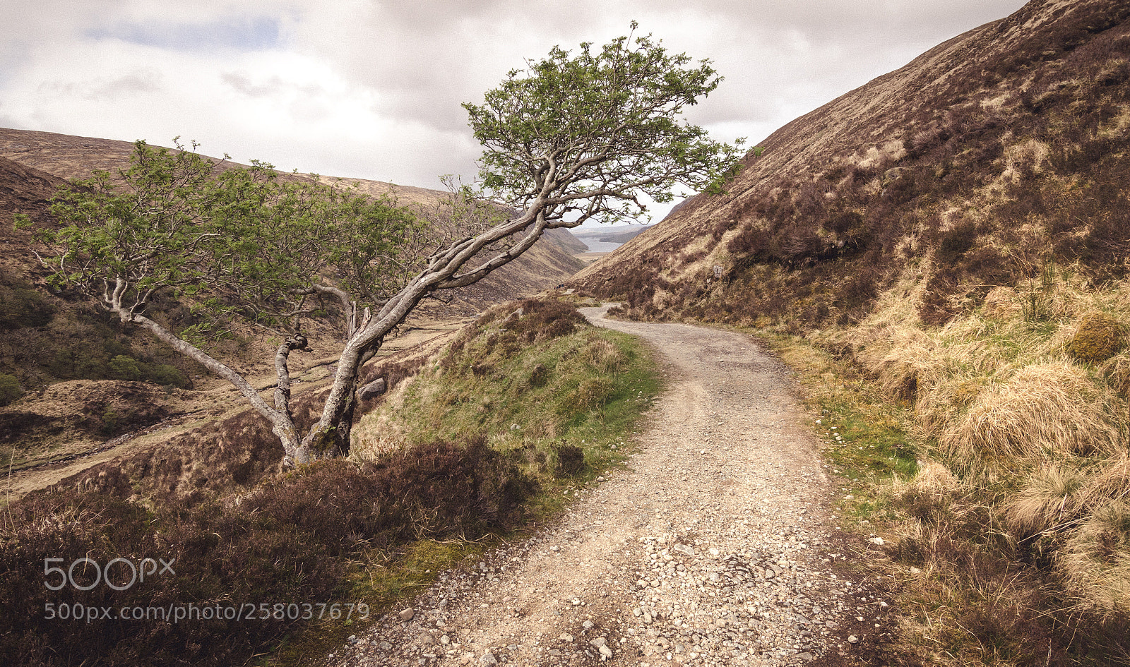 Nikon D7000 sample photo. Glenveagh national park photography