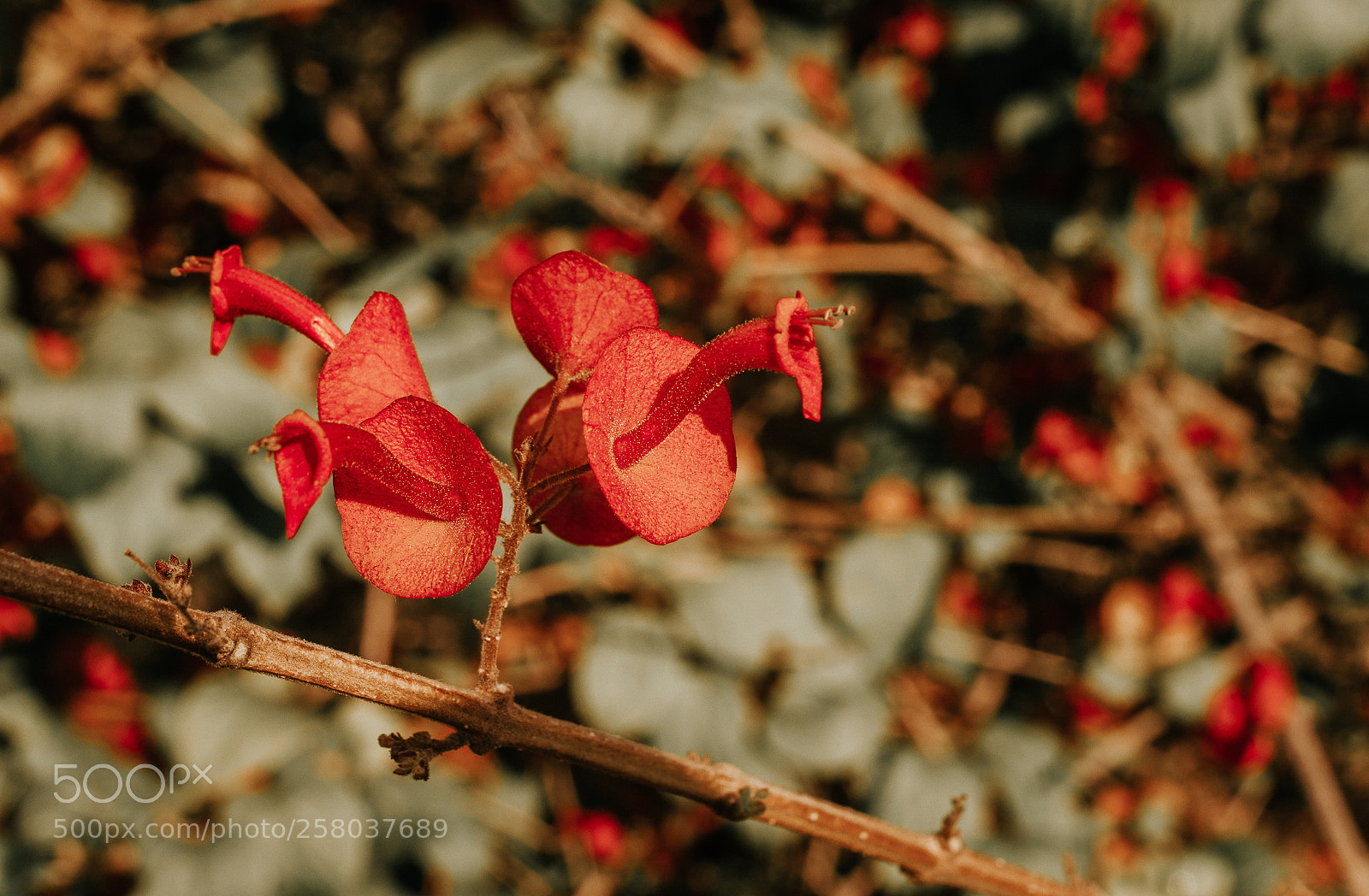 Nikon D3200 sample photo. Untitled photography