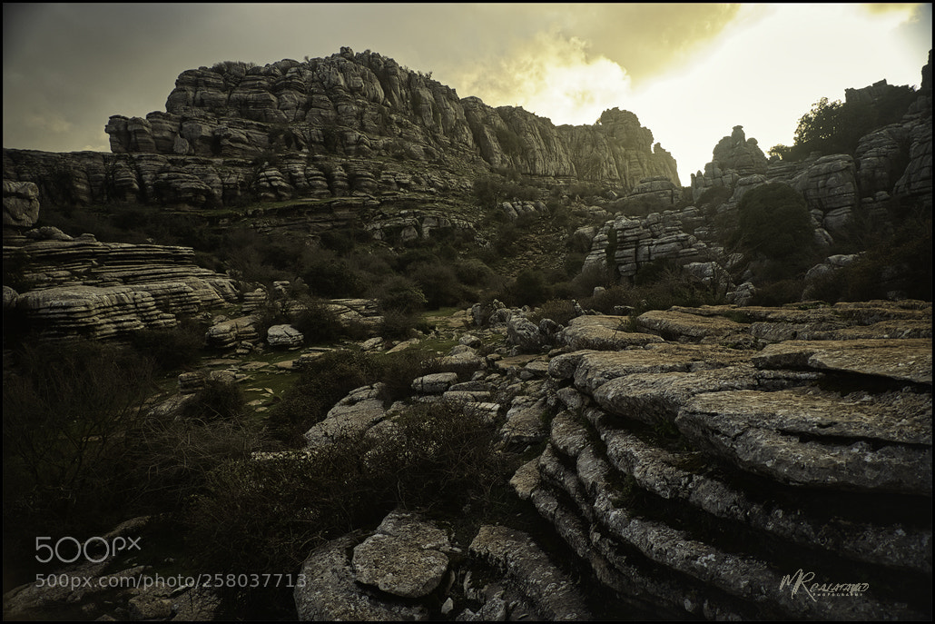 Nikon D750 sample photo. Titanic stone photography