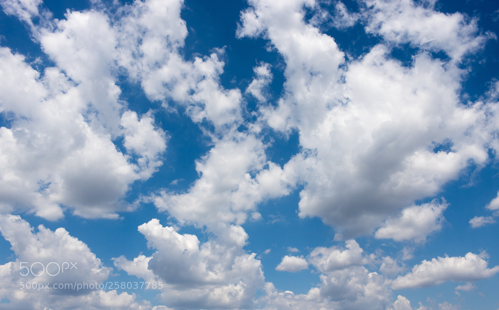 Canon EOS 750D (EOS Rebel T6i / EOS Kiss X8i) sample photo. View of clouds at photography