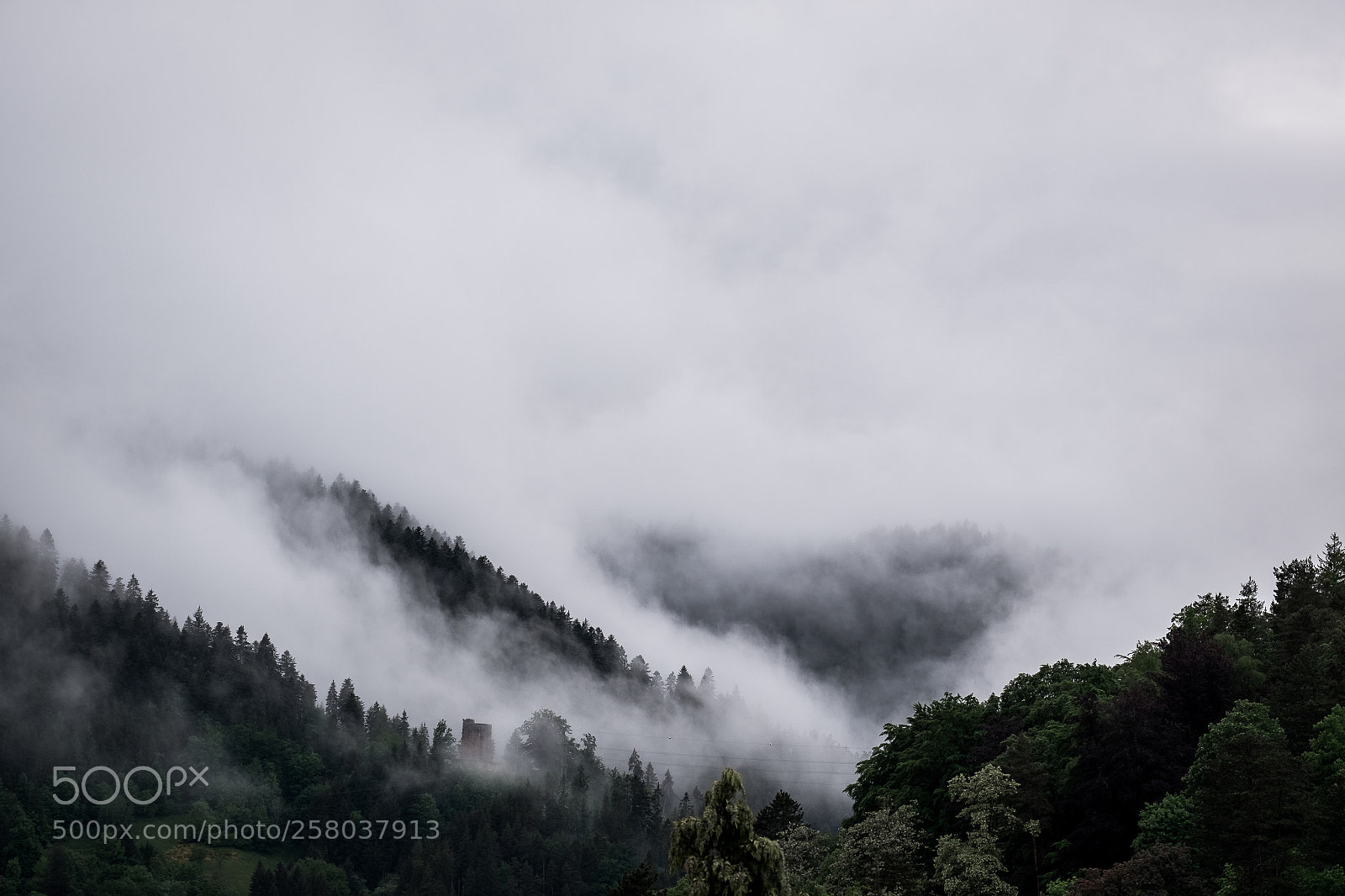 Fujifilm X-T10 sample photo. Succumb to the mist photography