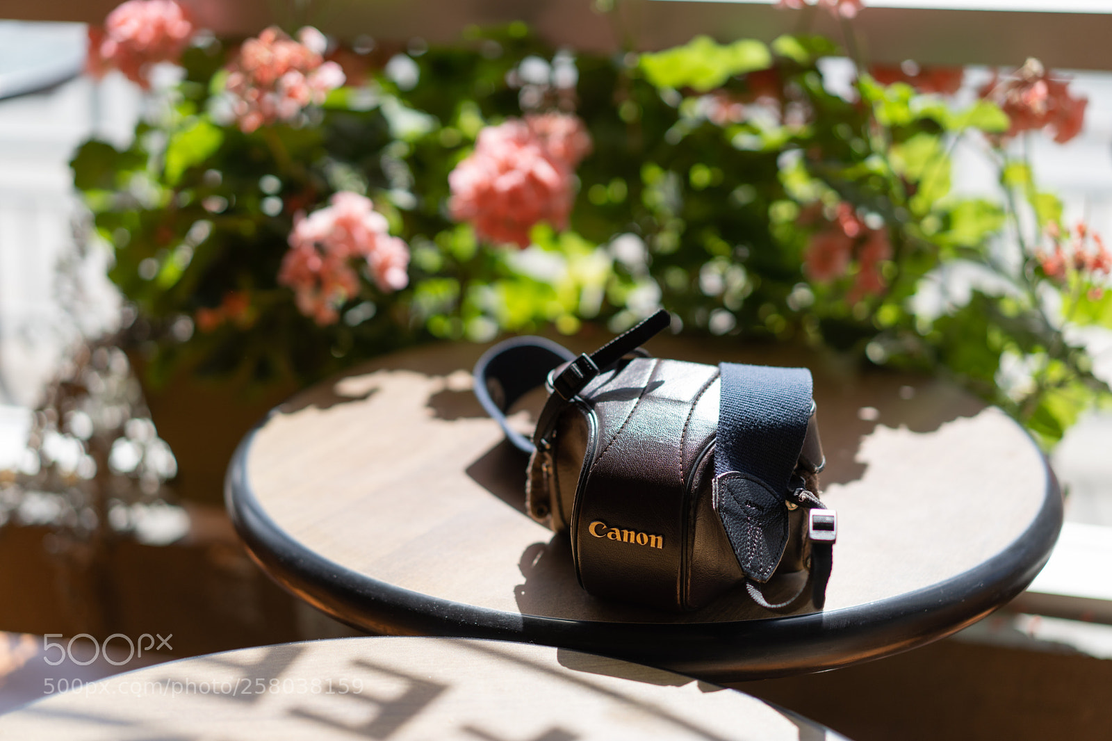 Sony a7 III sample photo. Canon leather case on photography