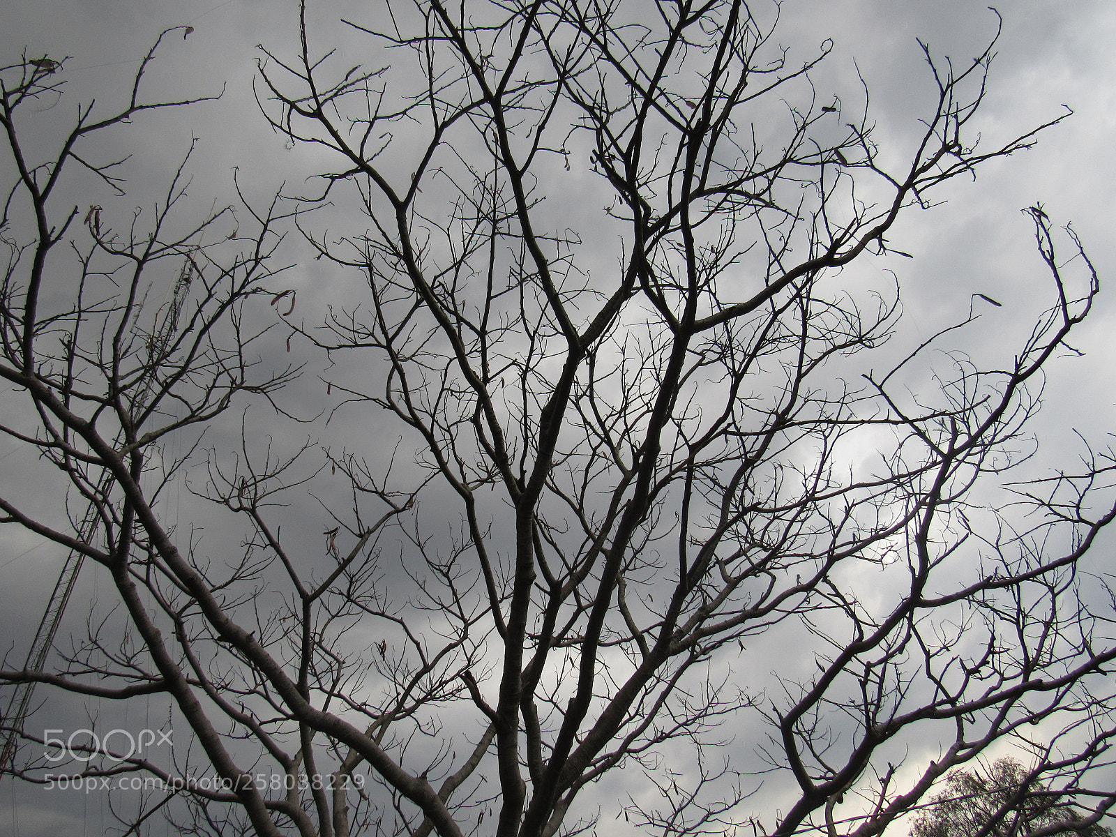 Canon PowerShot SX530 HS sample photo. Tenebroso... photography
