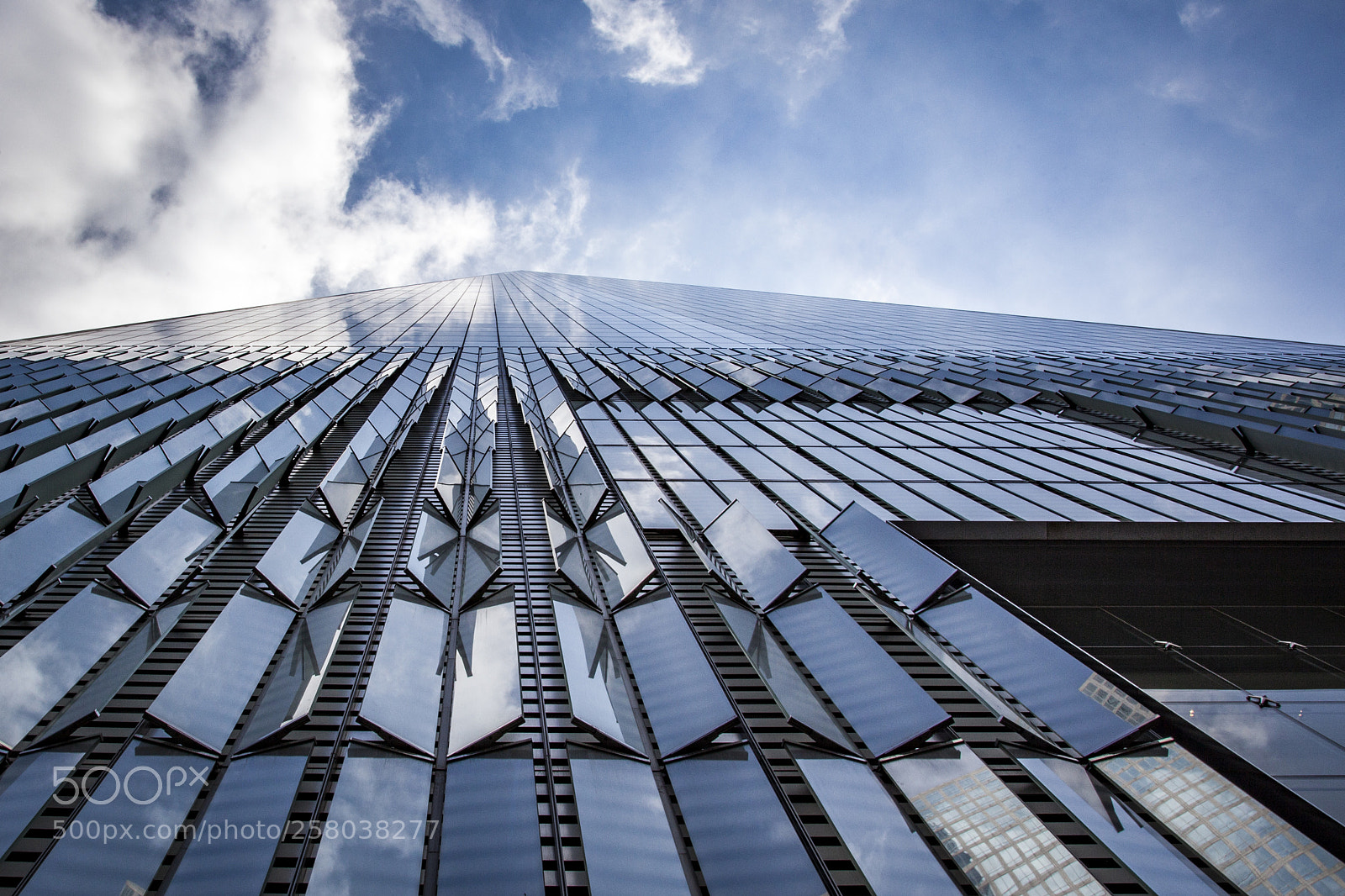 Canon EOS 5D Mark II sample photo. Reach for the sky photography