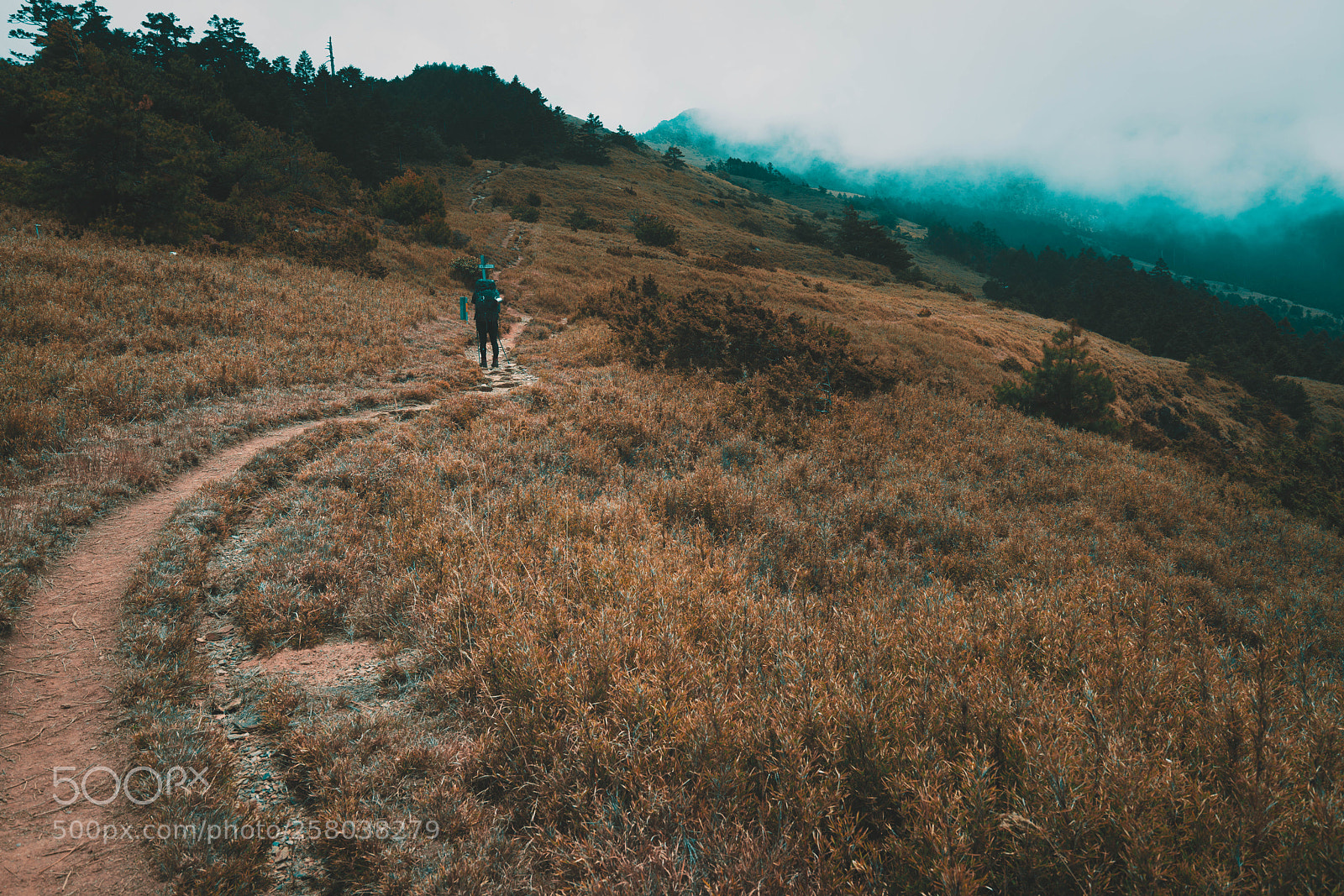 Sony a7R II sample photo. Untitled photography