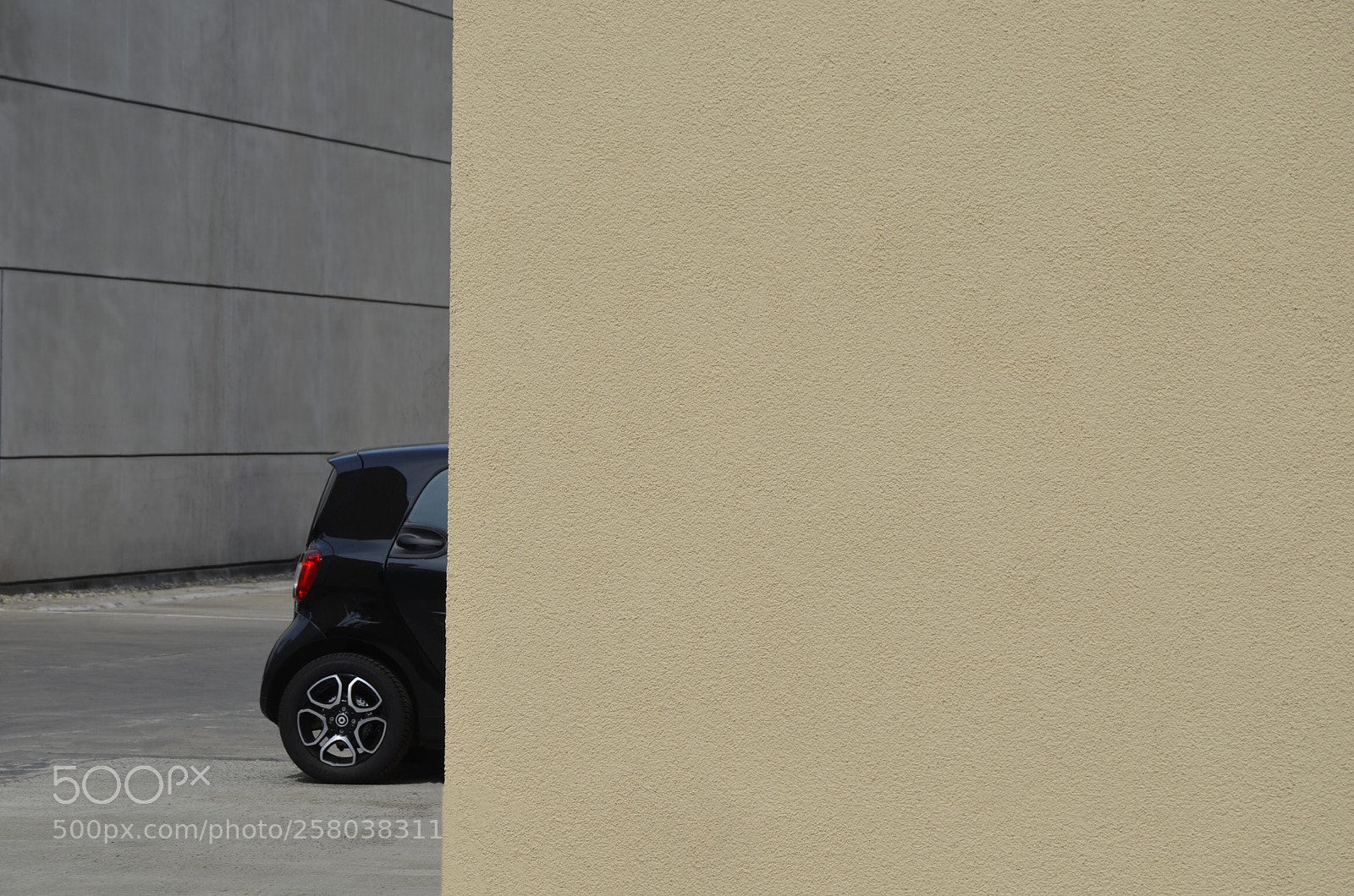 Nikon D7000 sample photo. Not smart enough? photography